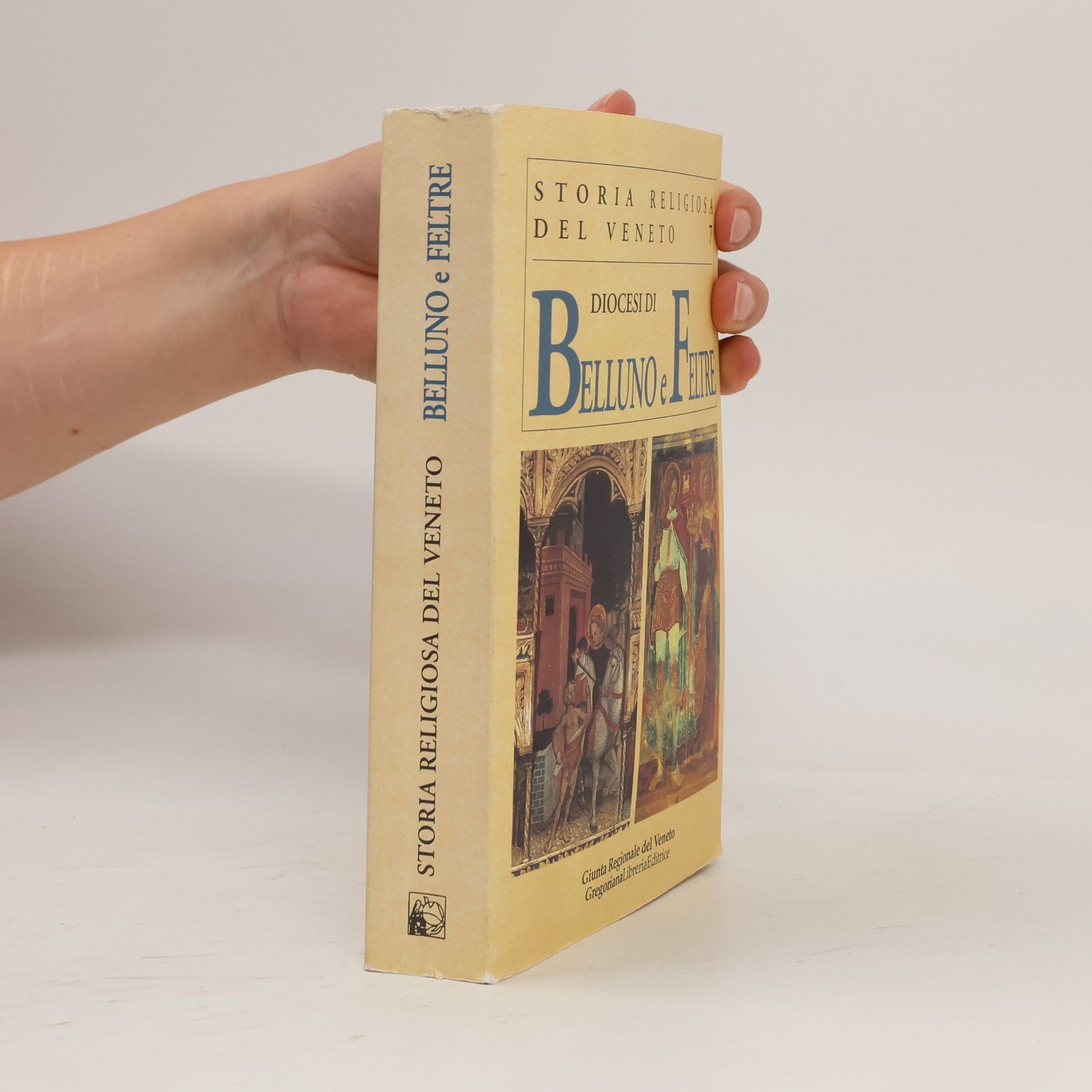 Various authors Storia Religiosa del Veneto - 7: Diocesi di Belluno e Feltre