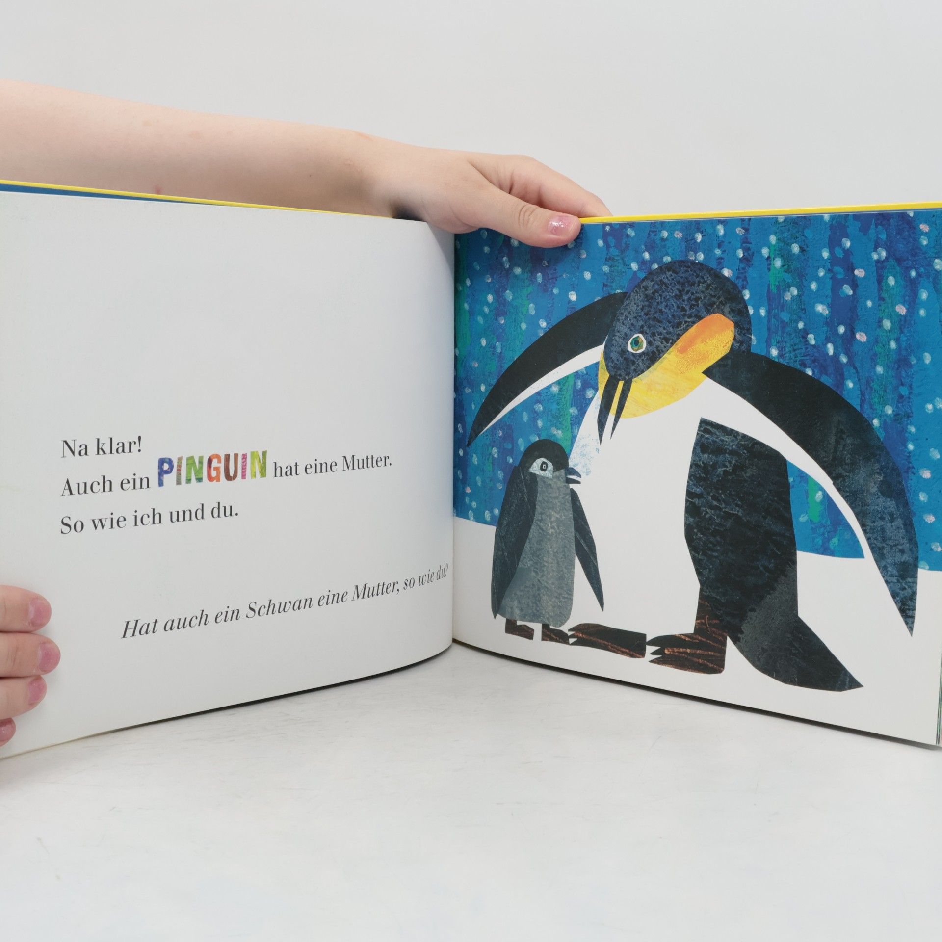 Eric Carle Abenteuer Lesen 5: Hat ein Känguru eine Mutter, so wie du?