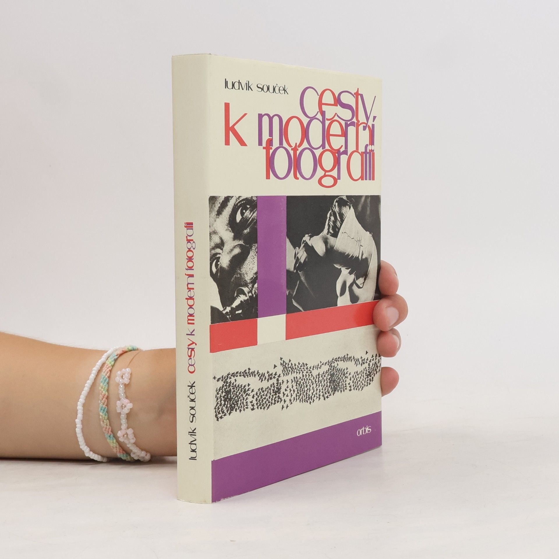 Ludvík Souček Cesty k moderní fotografii