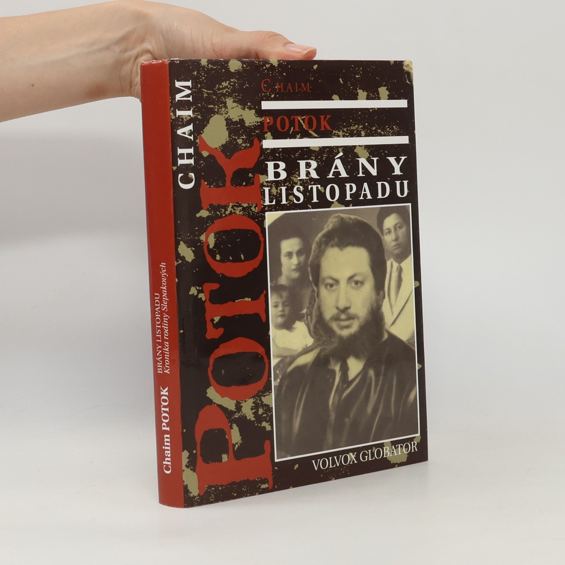 Chaim Potok Brány listopadu