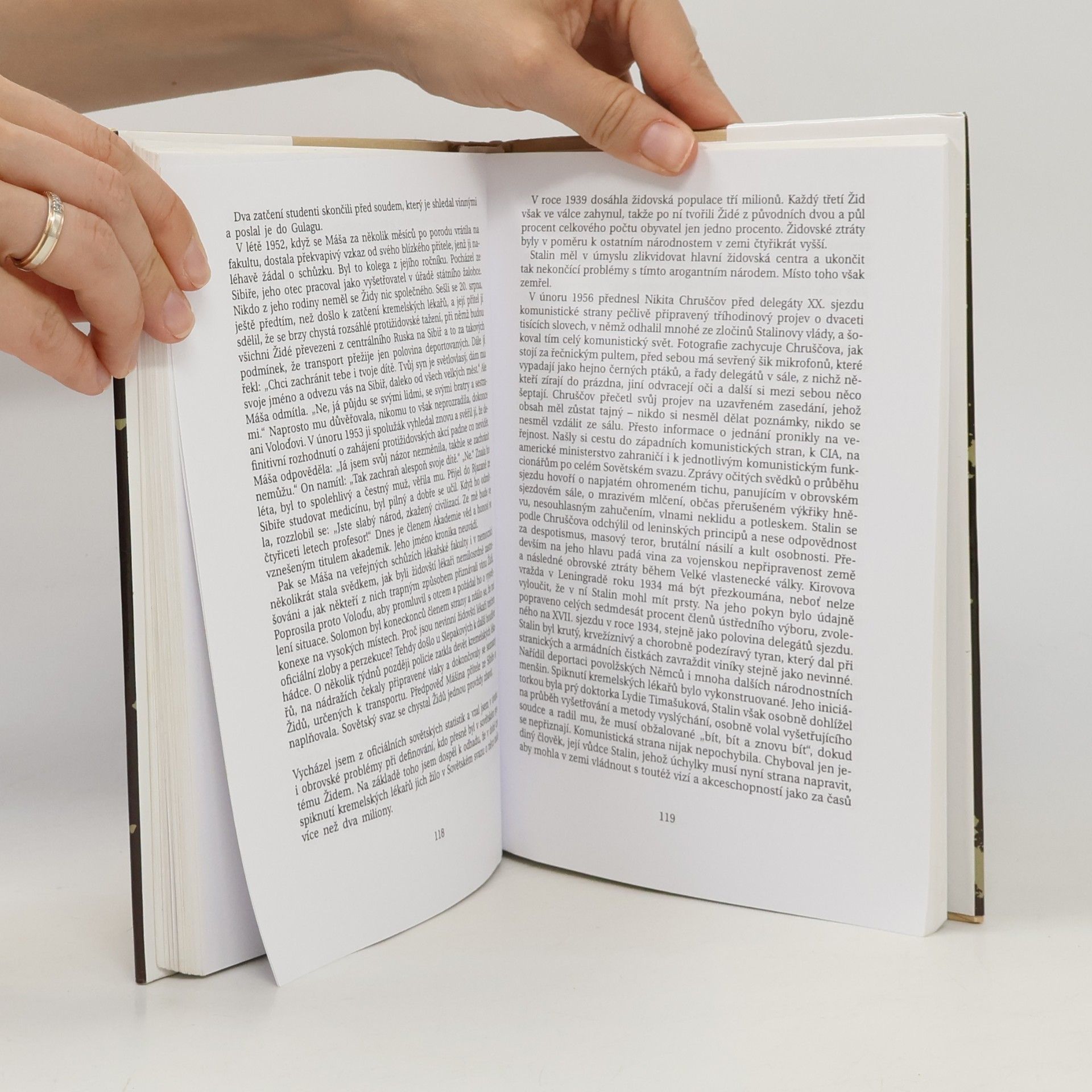 Chaim Potok Brány listopadu