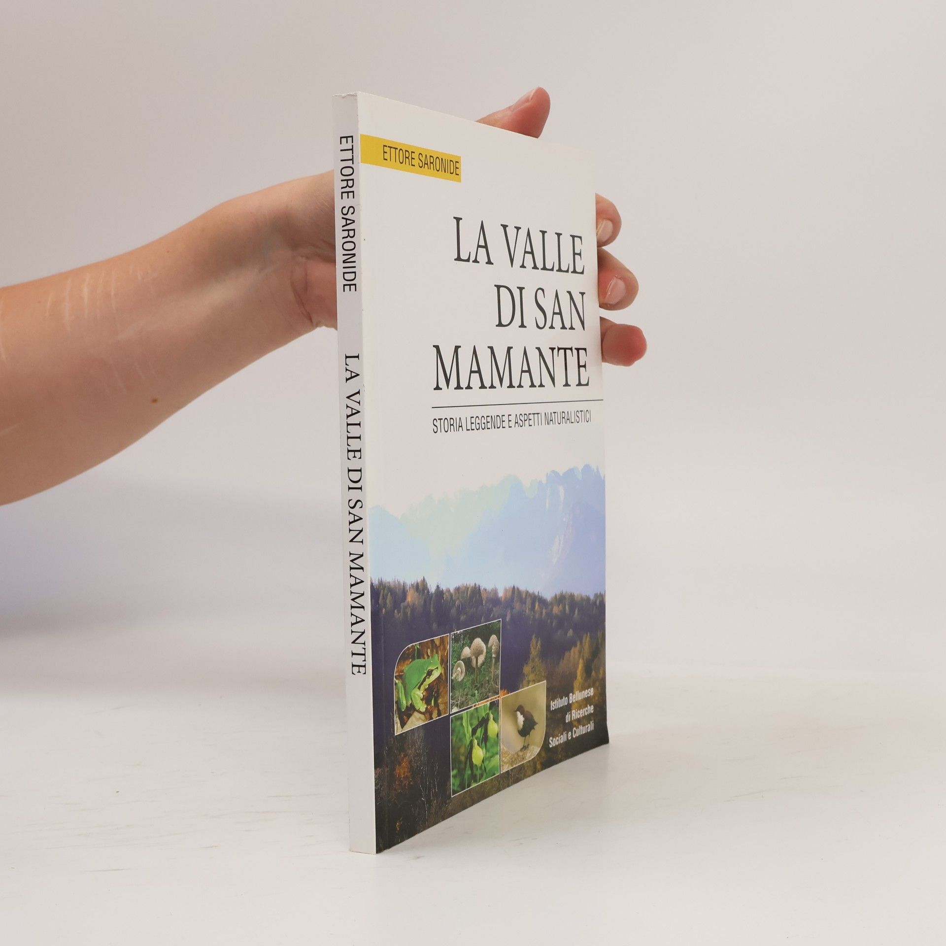 Ettore Saronide Serie varie: La valle di San Mamante. Storia leggende e aspetti naturalistici - Ediz. illustrata