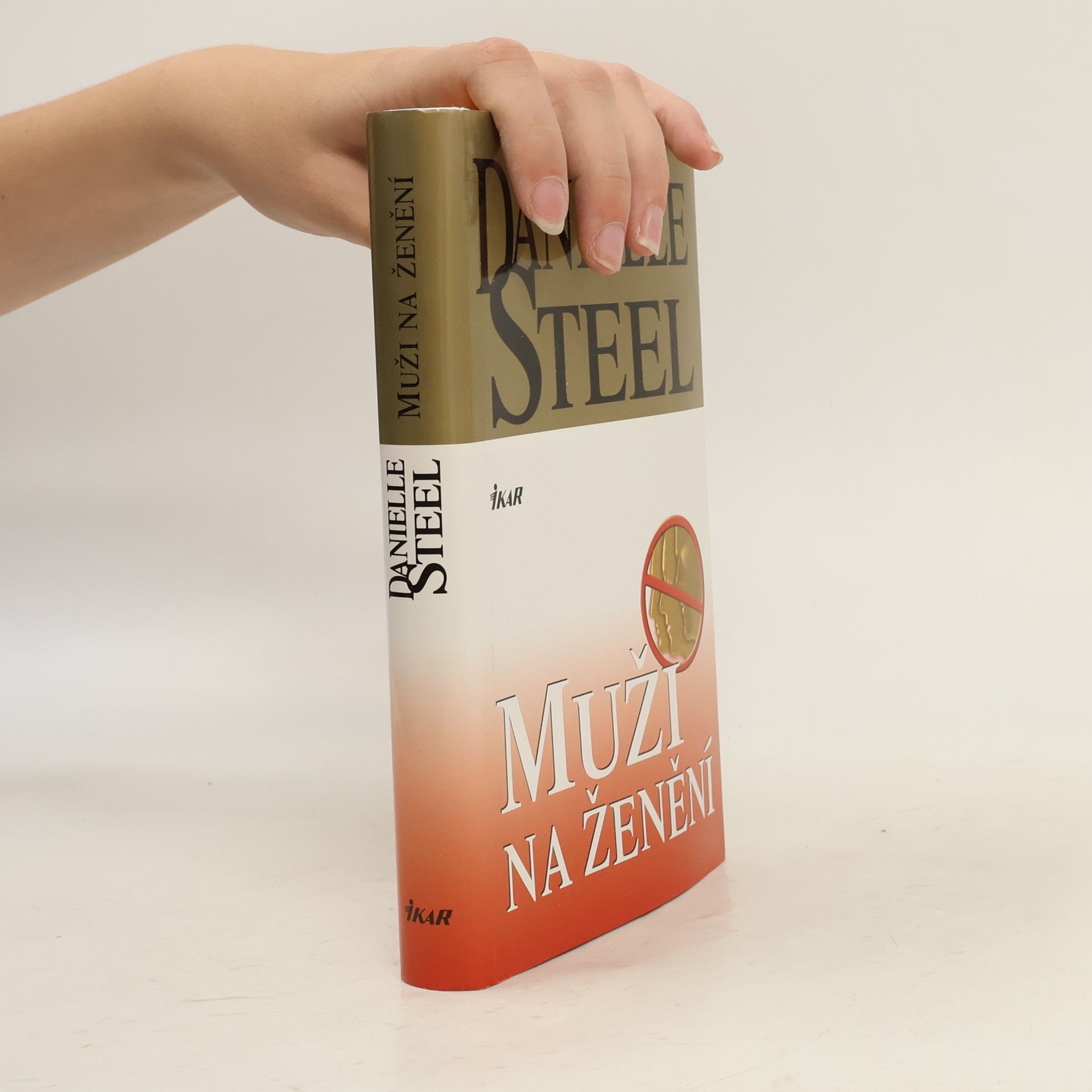 Danielle Steel Muži na ženění
