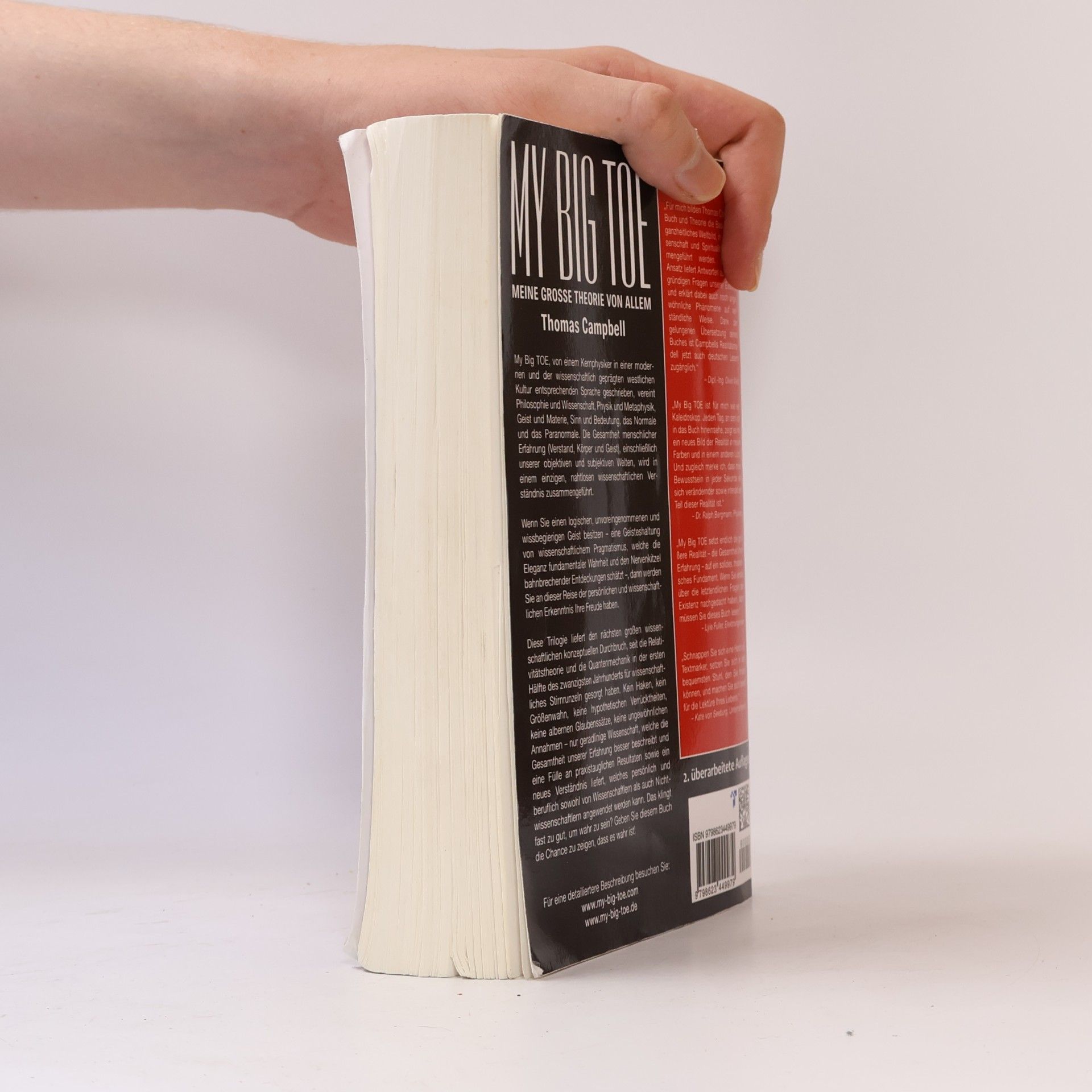 Olaf Arlt My Big Toe - Meine Große Theorie von Allem - Buch 1 - Erwachen