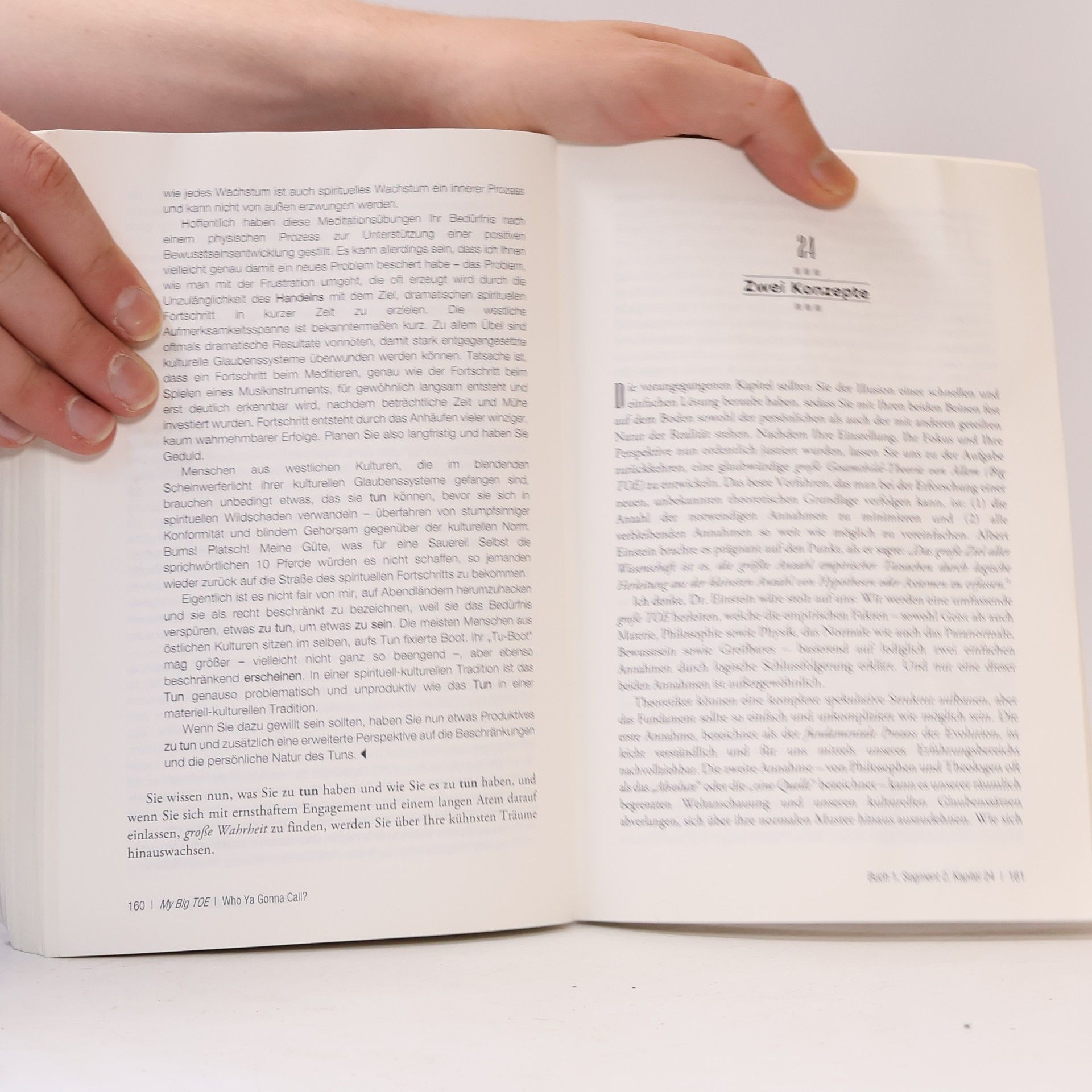 Olaf Arlt My Big Toe - Meine Große Theorie von Allem - Buch 1 - Erwachen