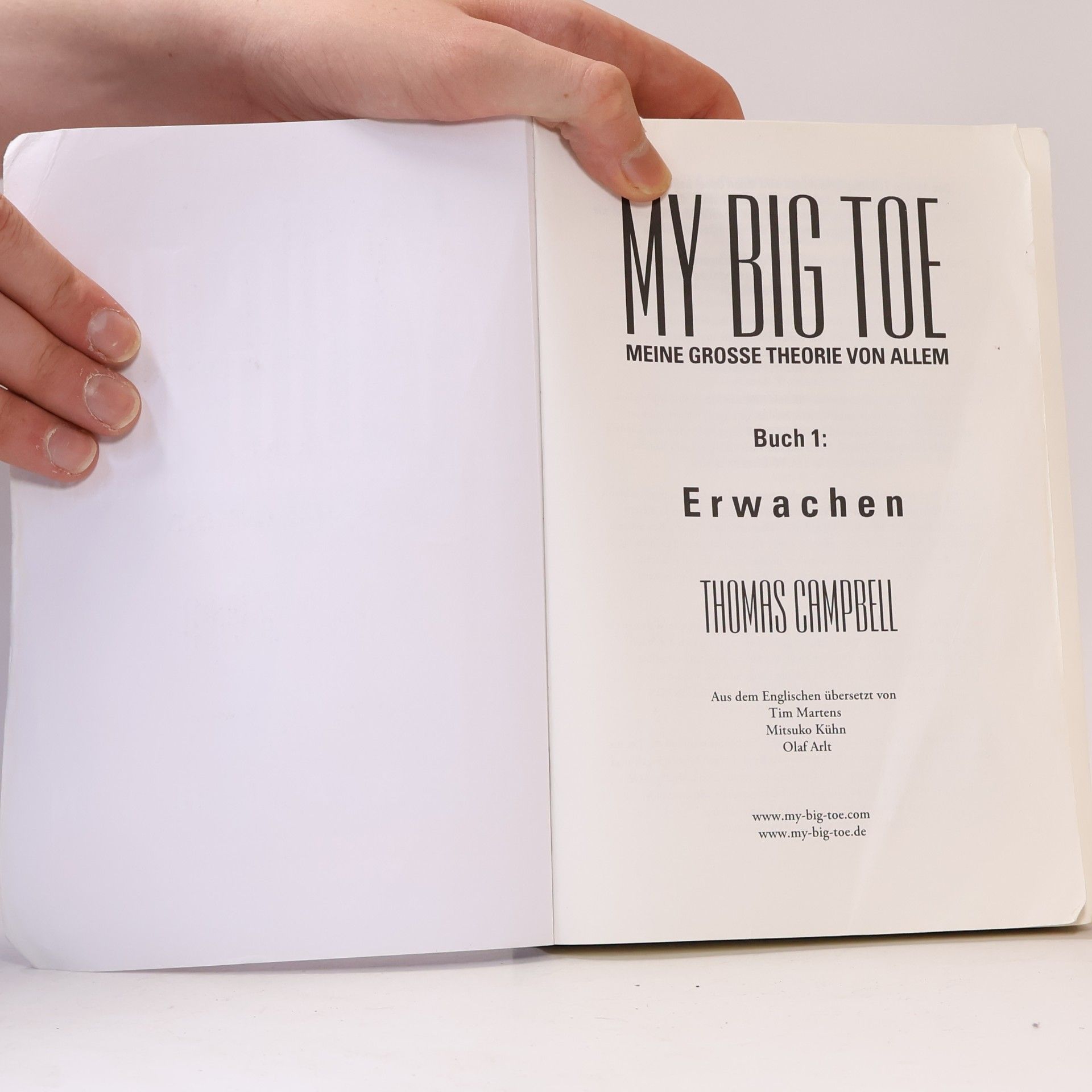 Olaf Arlt My Big Toe - Meine Große Theorie von Allem - Buch 1 - Erwachen