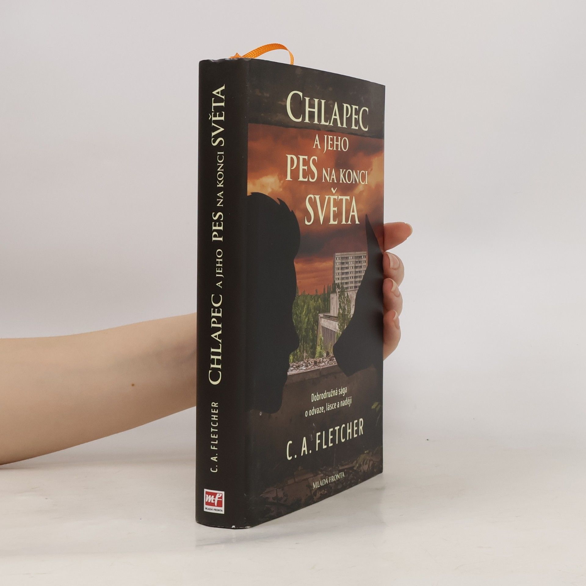 Charlie Fletcher Chlapec a jeho pes na konci světa