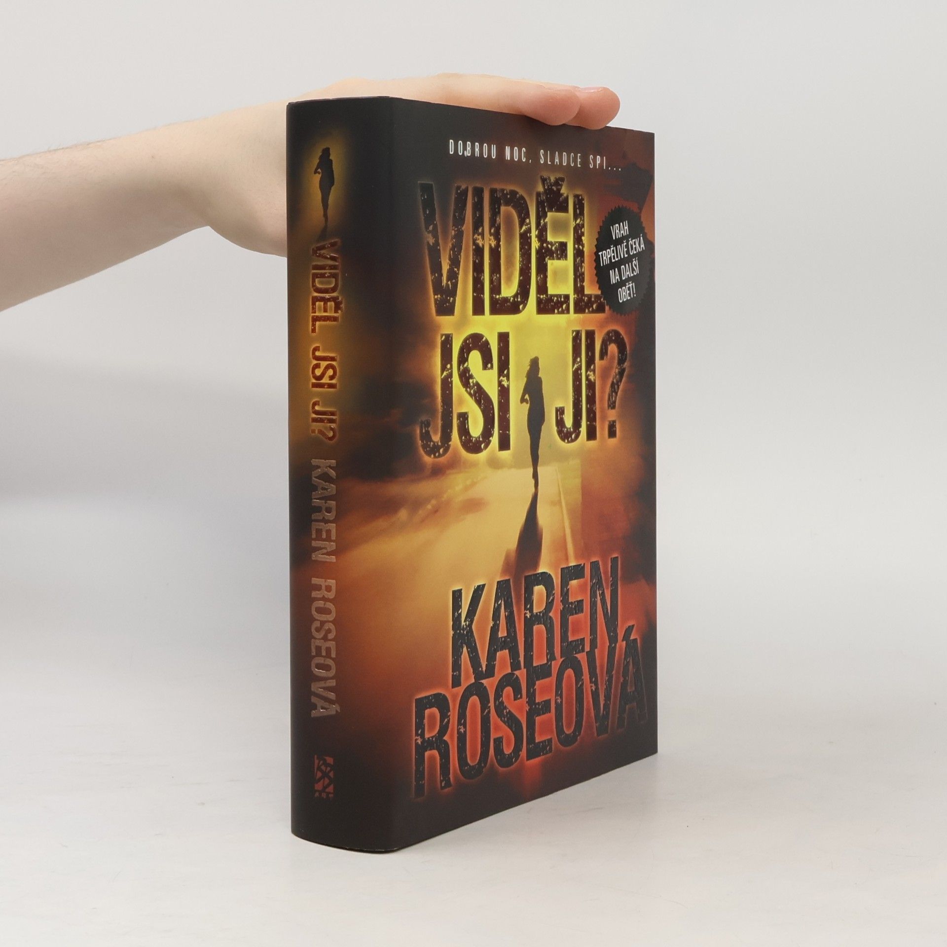 Karen Rose Viděl jsi ji?