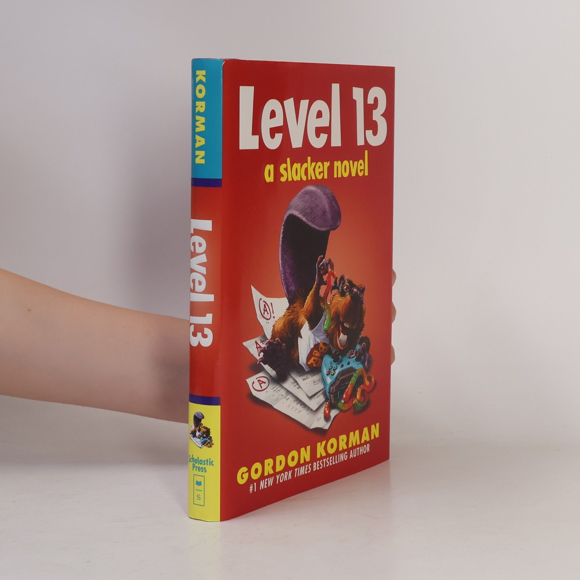 Level 13 (a Slacker Novel)