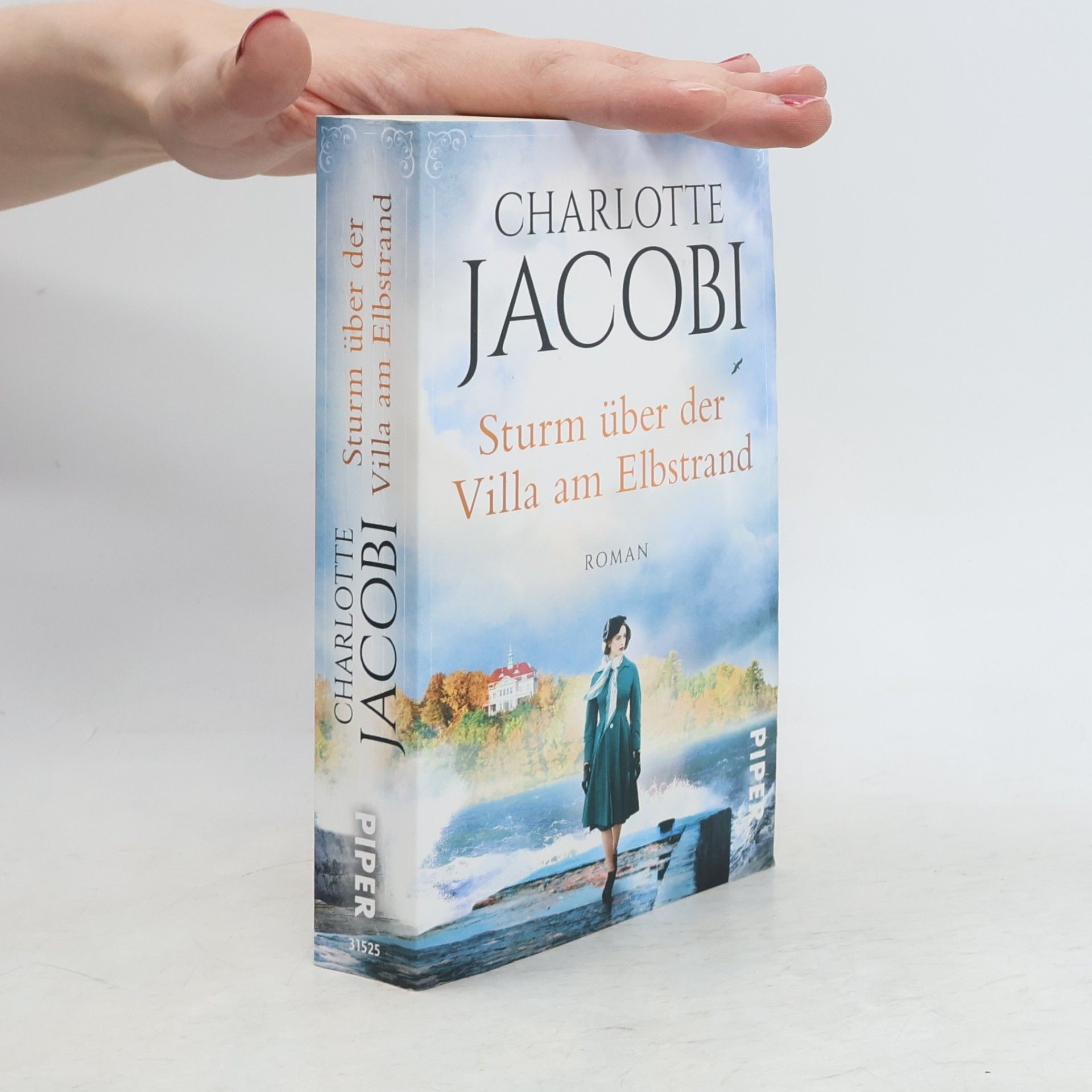 Charlotte Jacobi Sturm über der Villa am Elbstrand