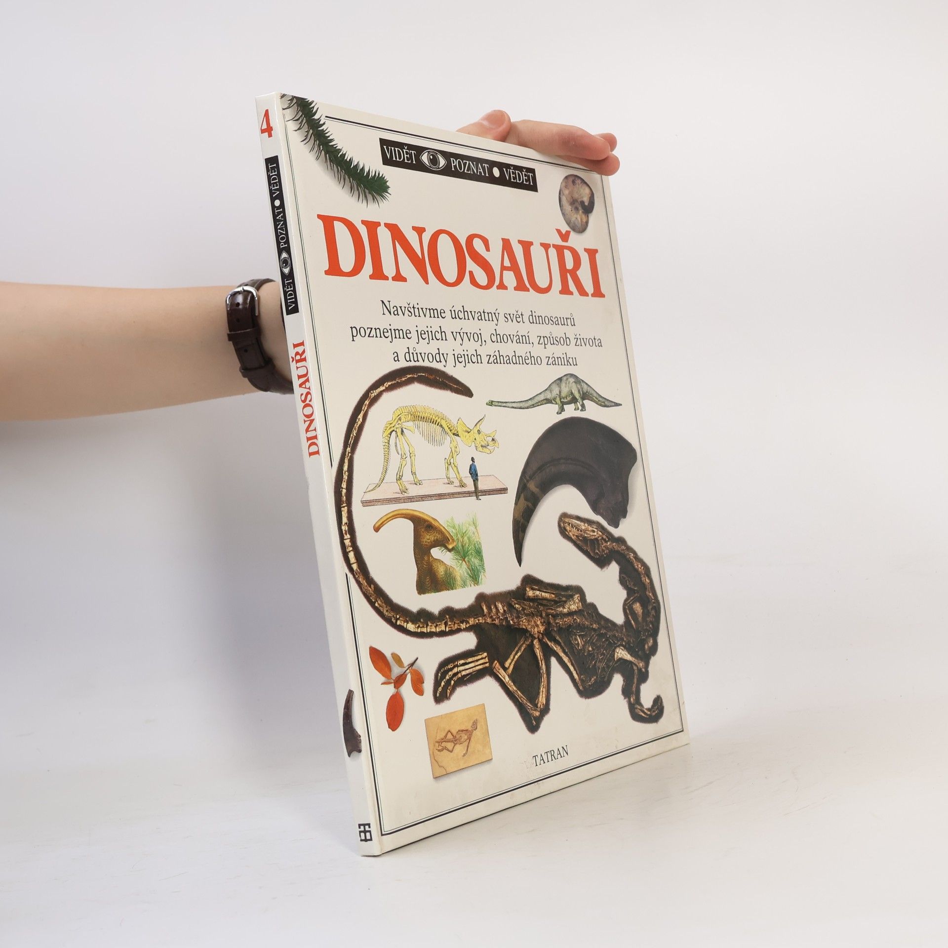 Autores varios Dinosauři