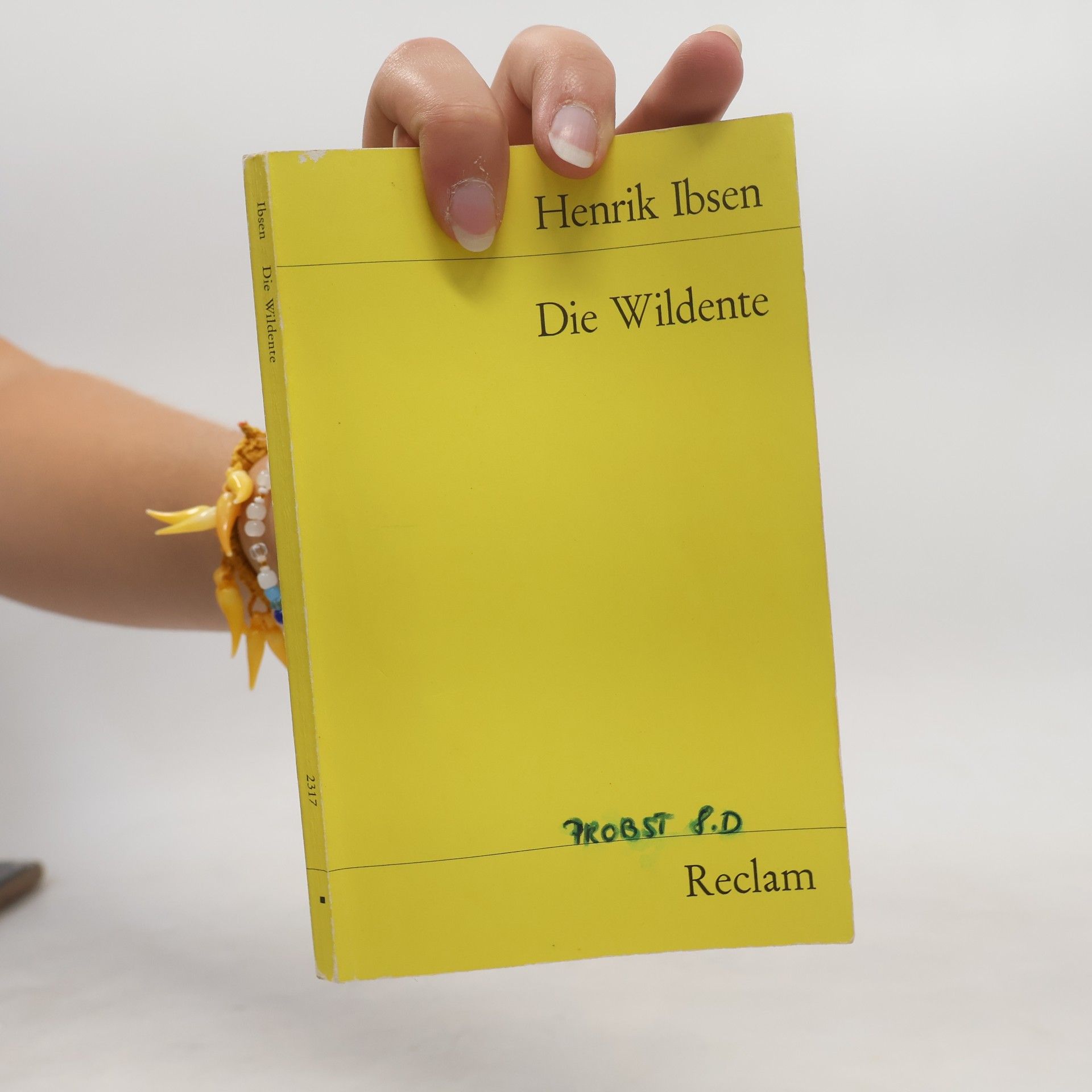 Henrik Ibsen Die Wildente