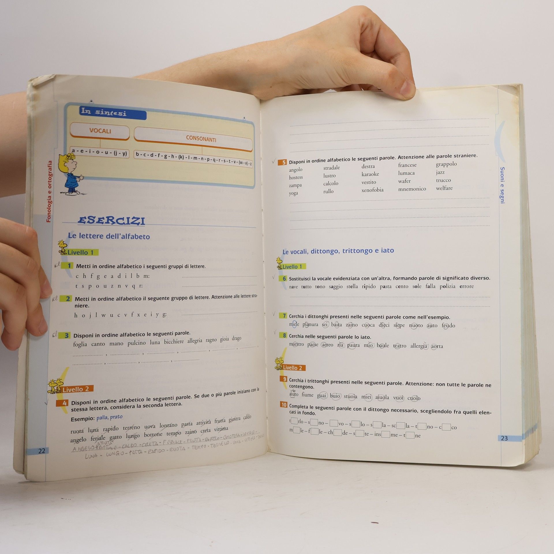Gilda Balestra Grammaticalmente. Vol. A-B. Con espansione online. Per la Scuola media. Con CD-ROM