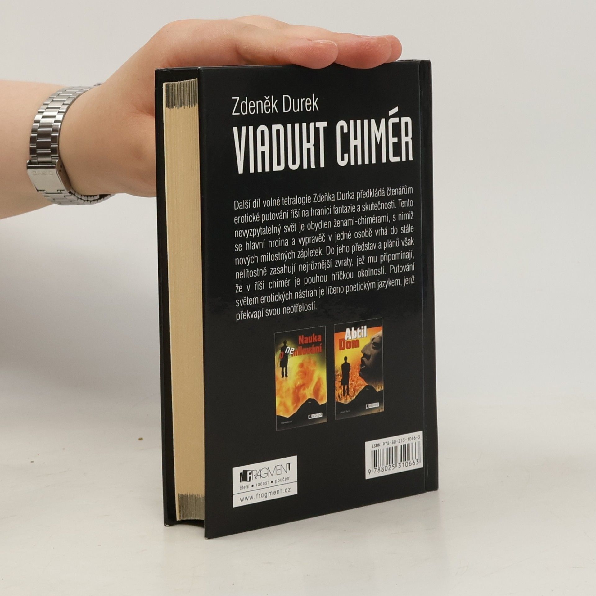 Zdeněk Durek Viadukt chimér