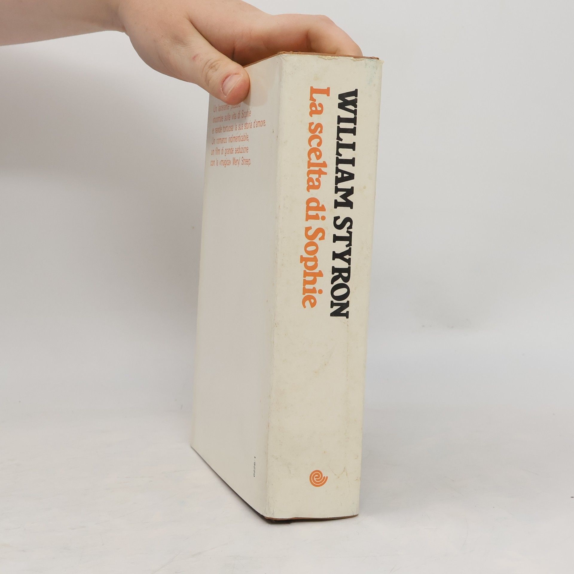 William Styron La scelta di Sophie