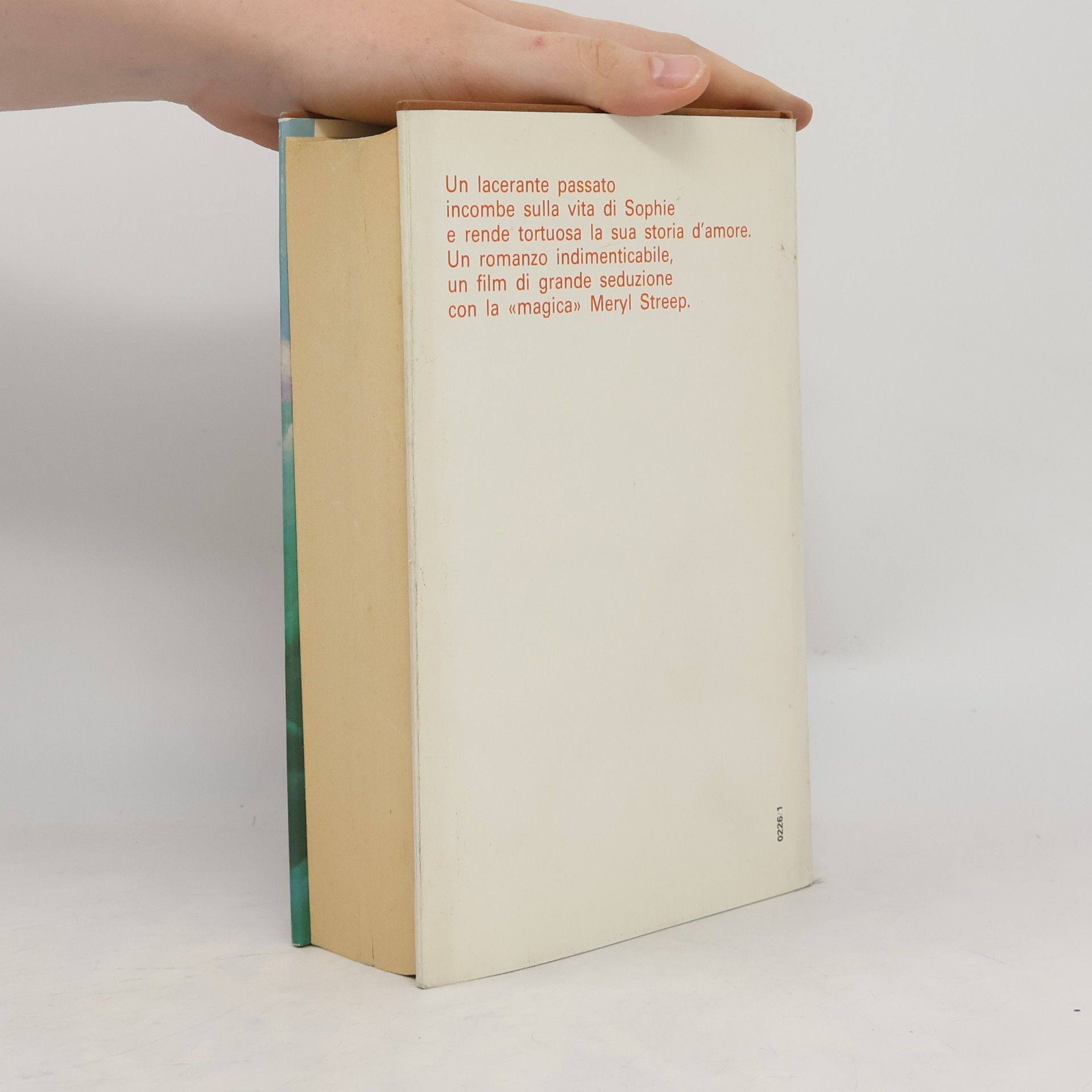 William Styron La scelta di Sophie