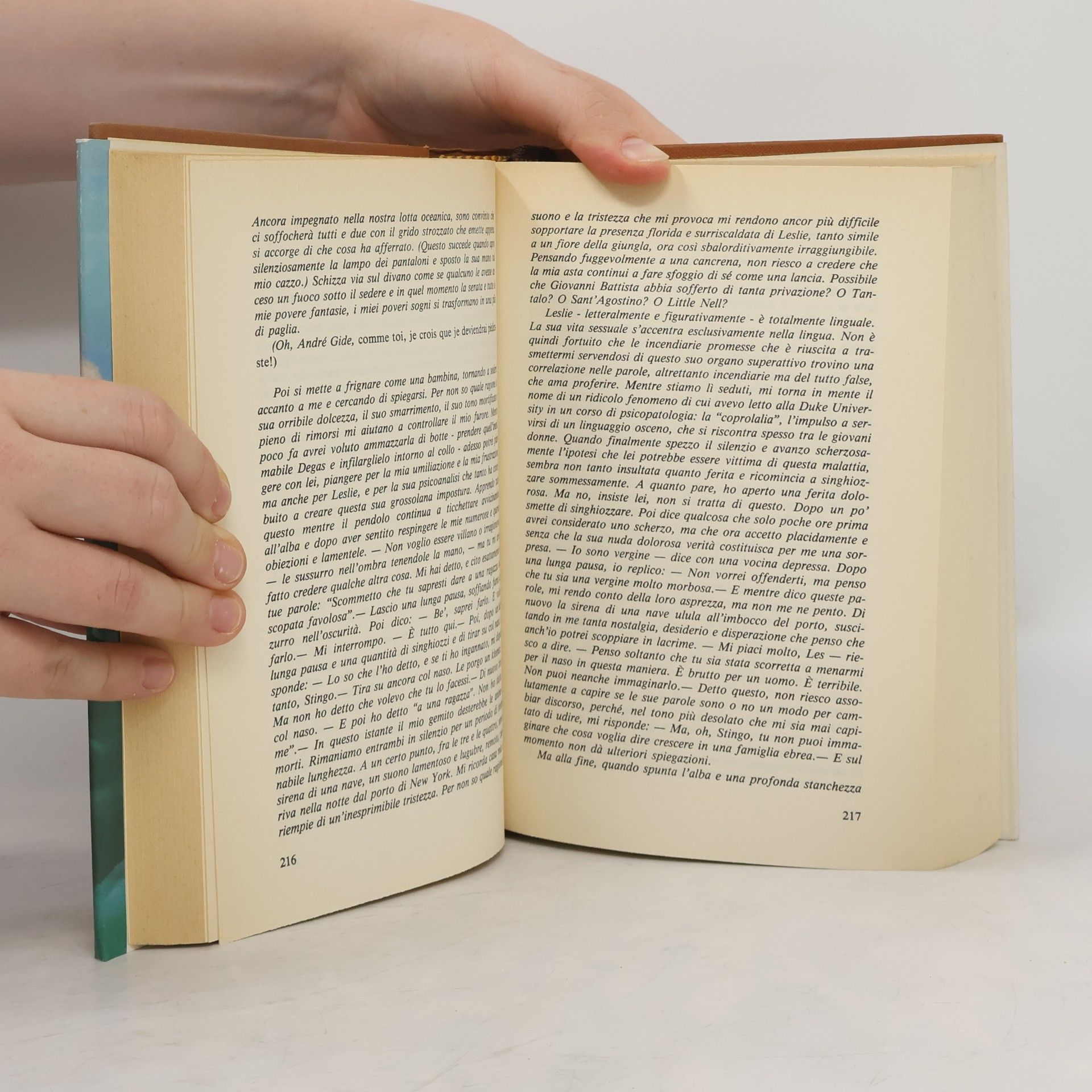 William Styron La scelta di Sophie