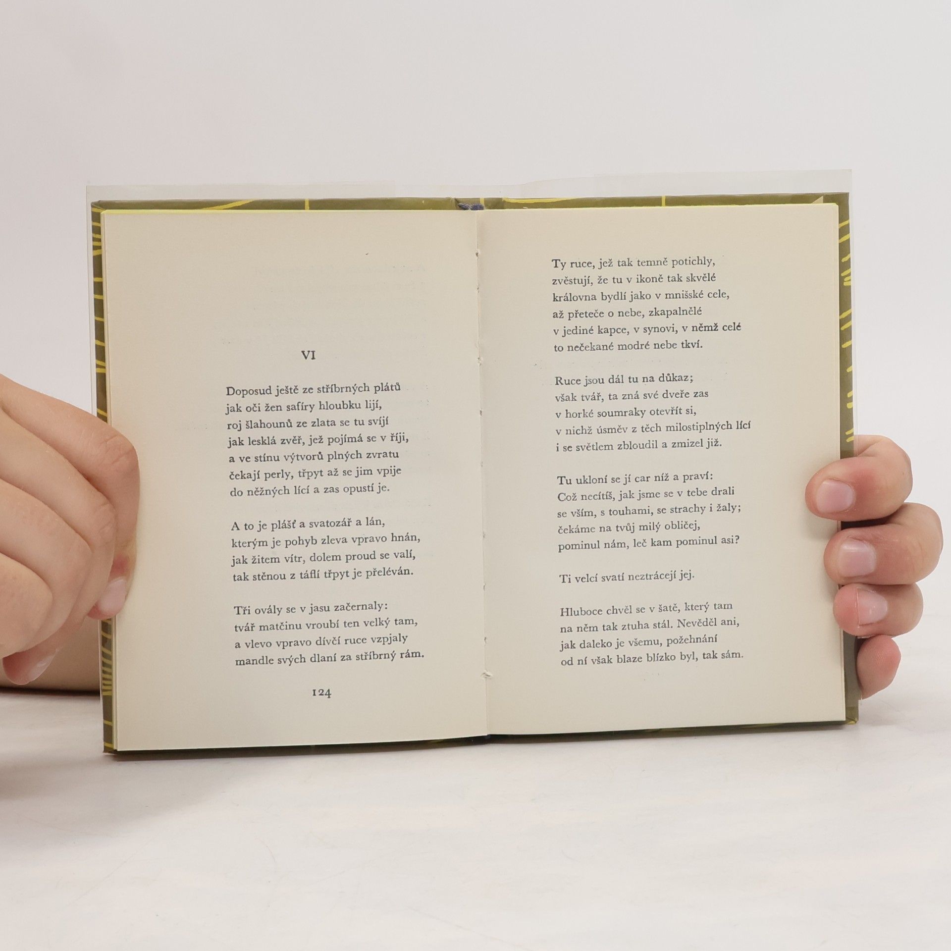 Rainer Maria Rilke Kniha obrazů