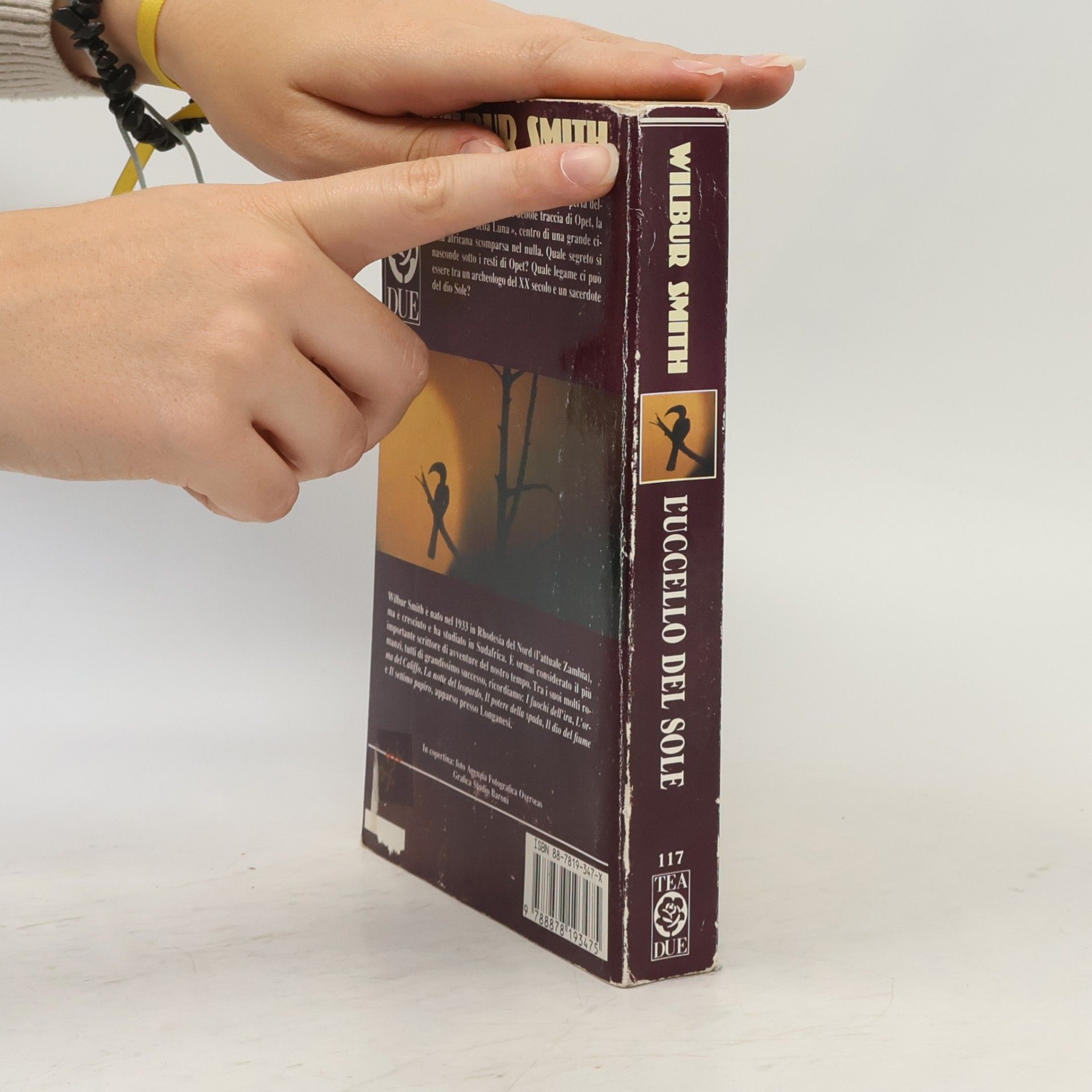 Wilbur Smith L´uccello del Sole