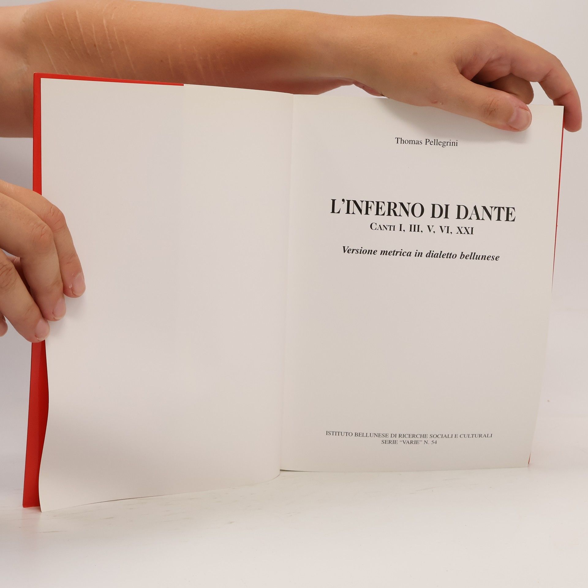 Thomas Pellegrini L'Inferno di Dante