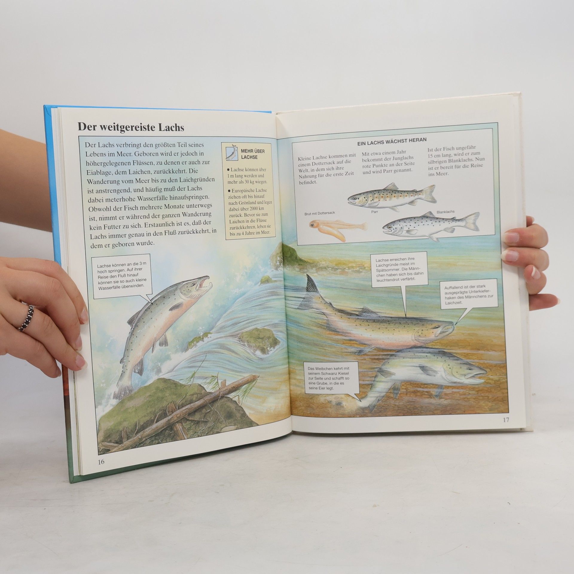 Michael Chinery Tiere in Fluss und See