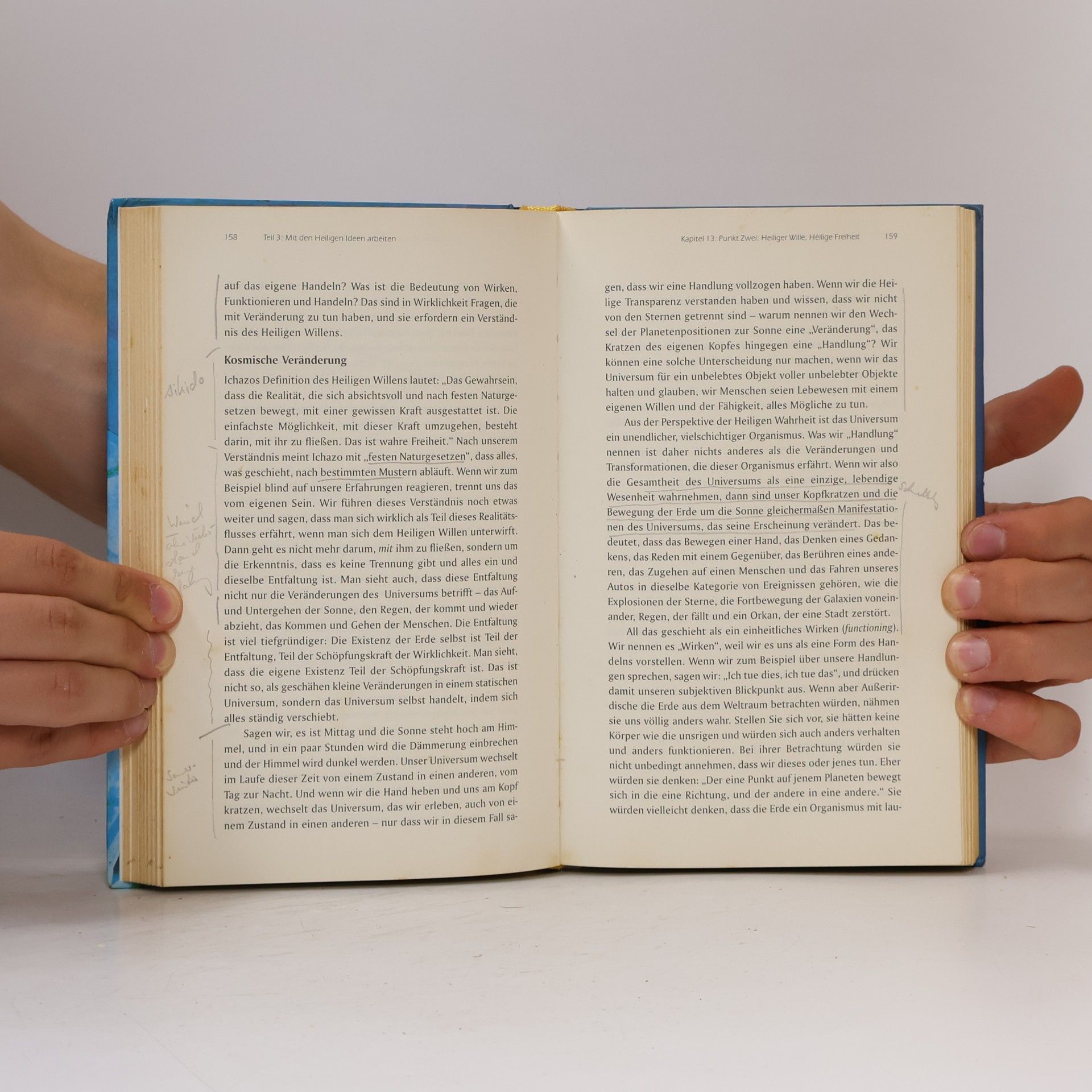 A. H. Almaas Facetten der Einheit