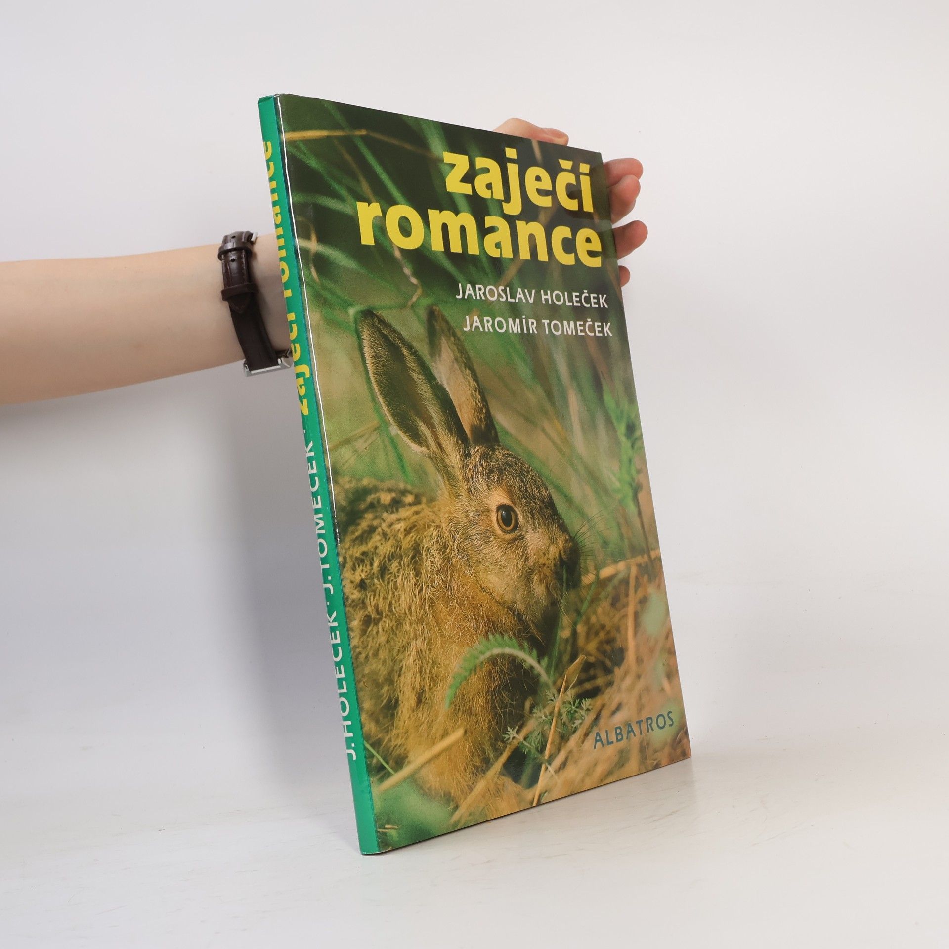 Jaroslav Holeček Zaječí romance
