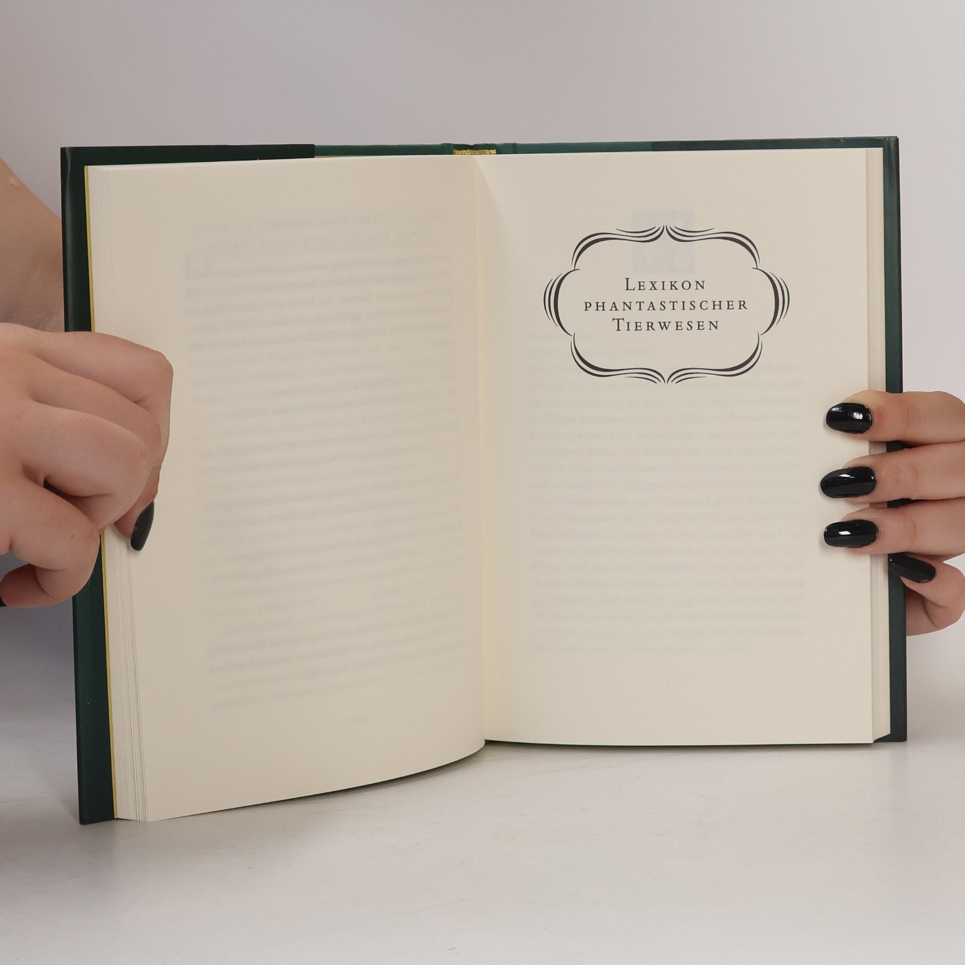 Newt Scamander Phantastische Tierwesen und wo sie zu finden sind