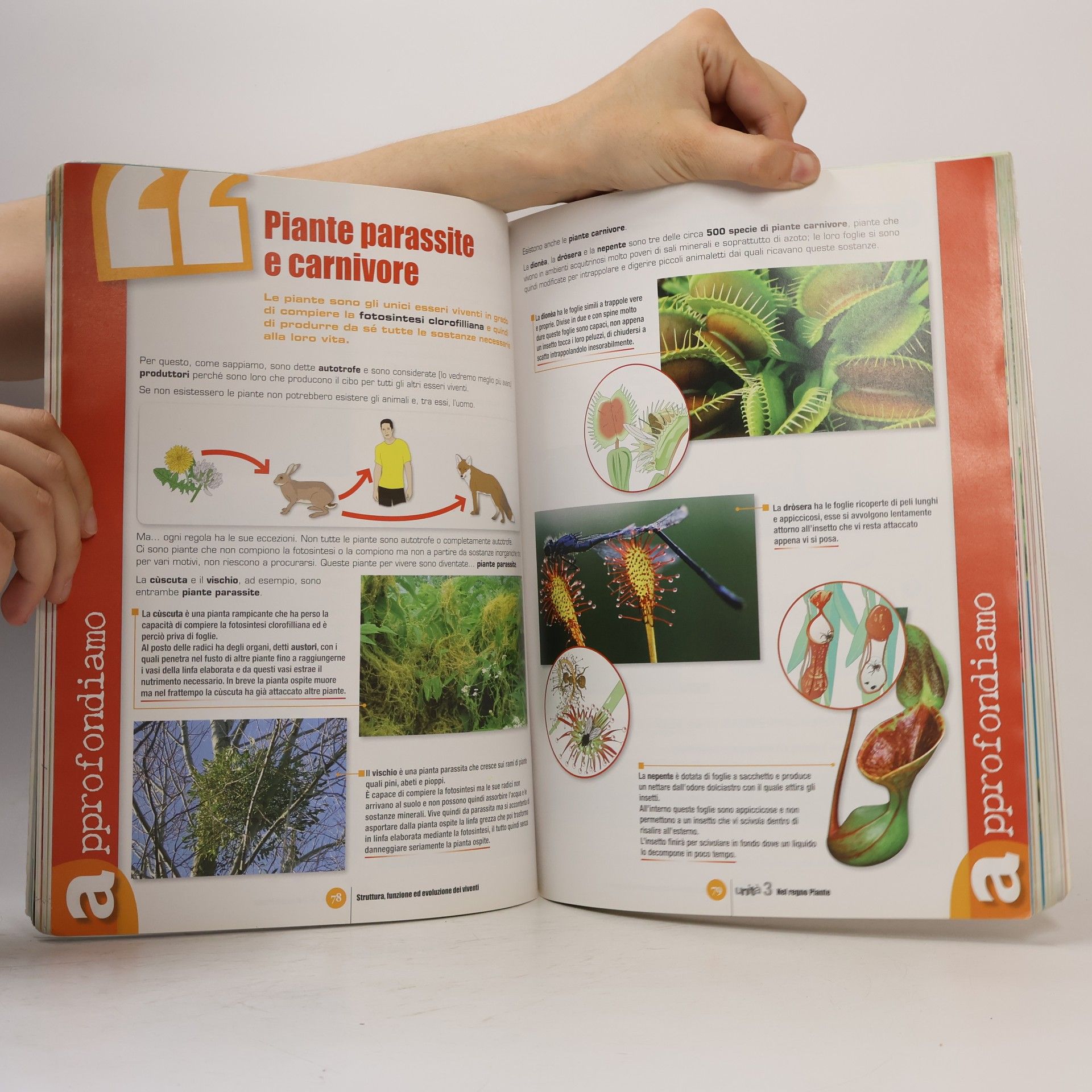 Gilda Flaccavento Romano Accademia delle scienze. Tomo C: struttura, funzione dei viventi. Per la scuola media. Con espansione online - edizione mista - con MULTIBOOK e Openbook