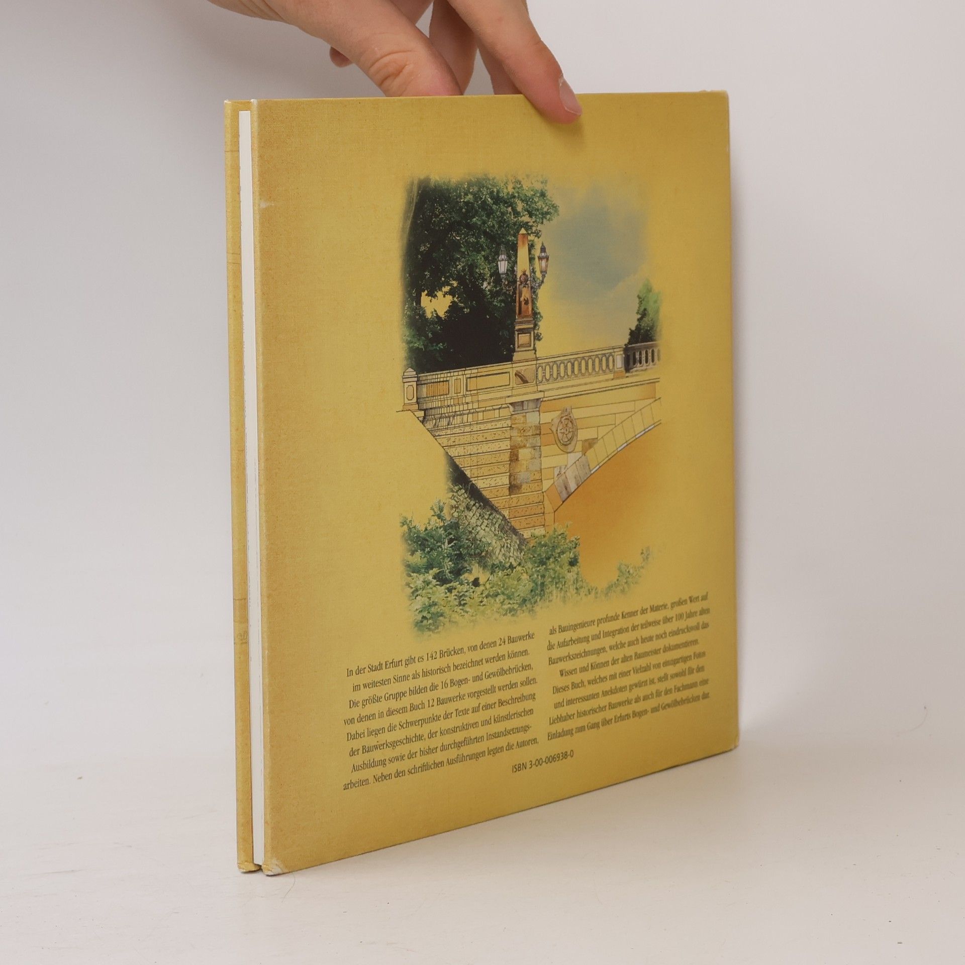 Dietrich Baumbach Historische Bogen- und Gewölbebrücken der Stadt Erfurt