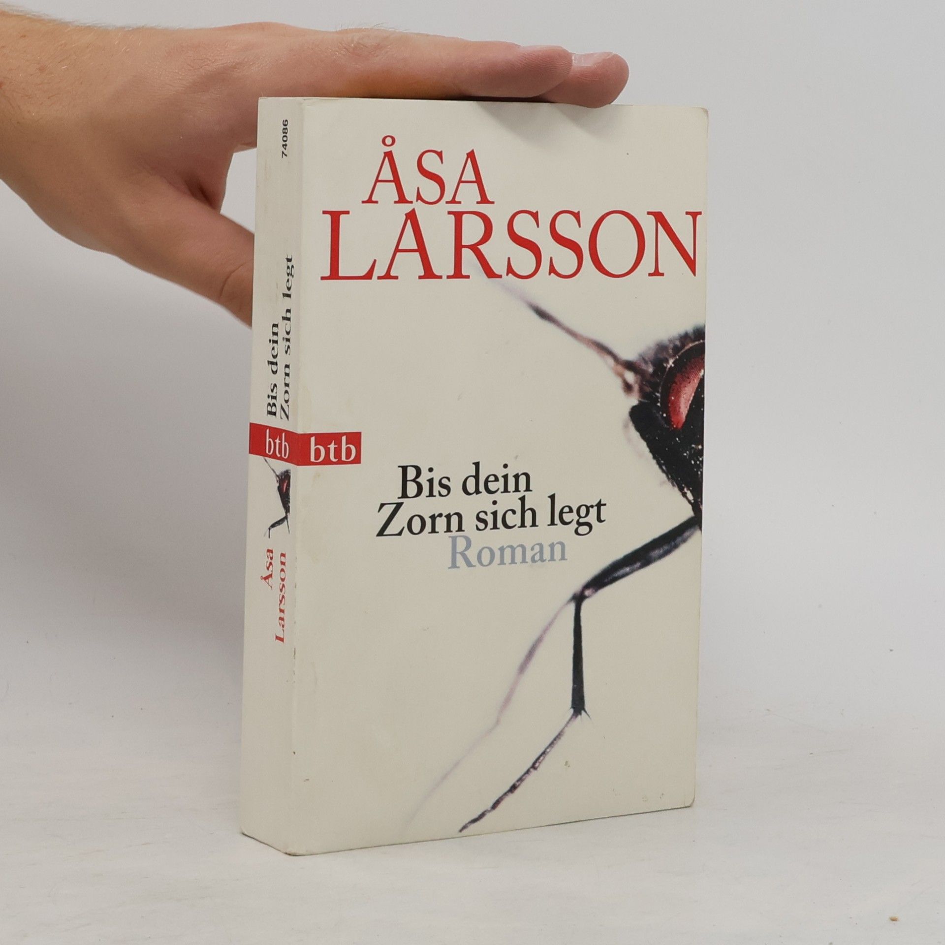Åsa Larsson Bis dein Zorn sich legt