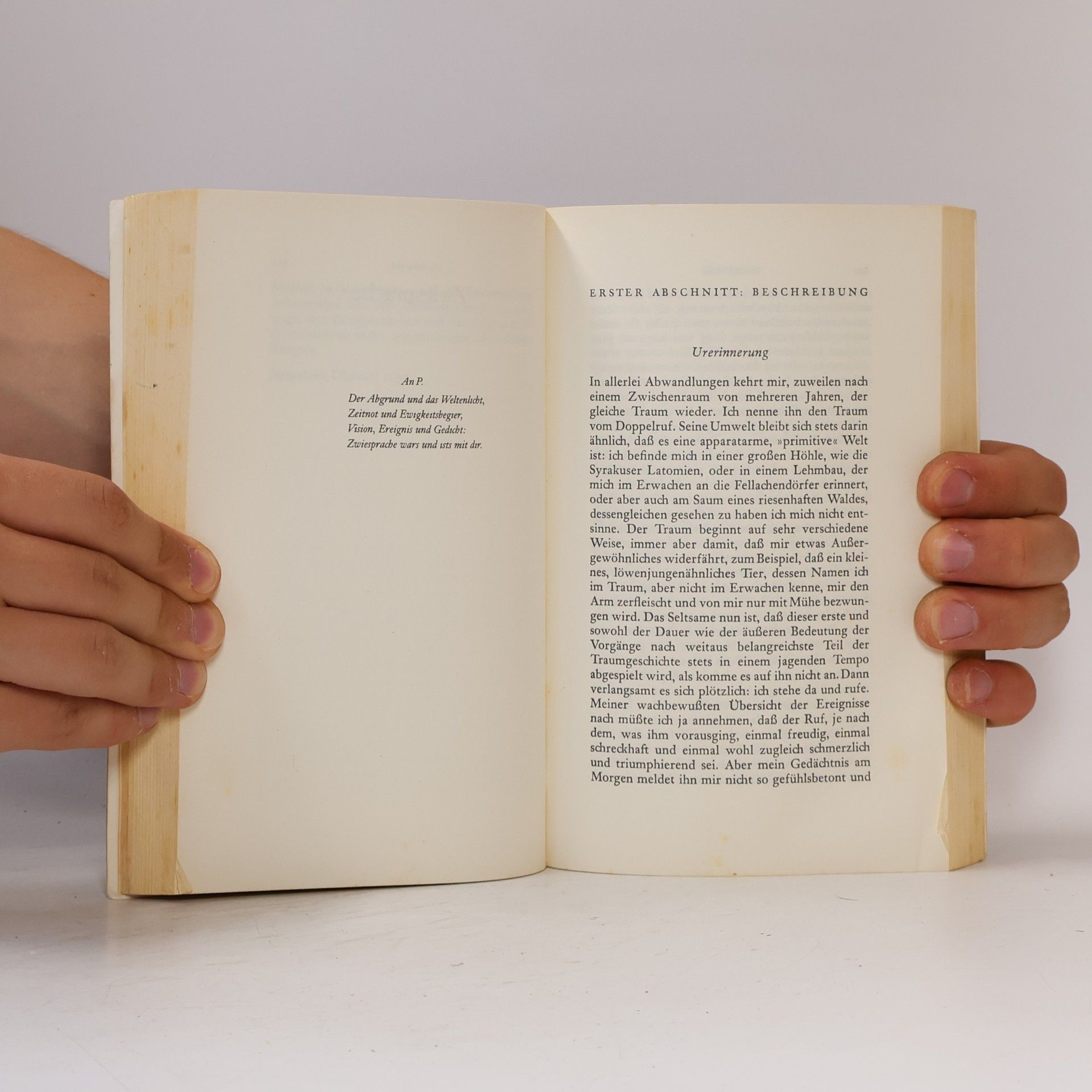 Martin Buber Das dialogische Prinzip