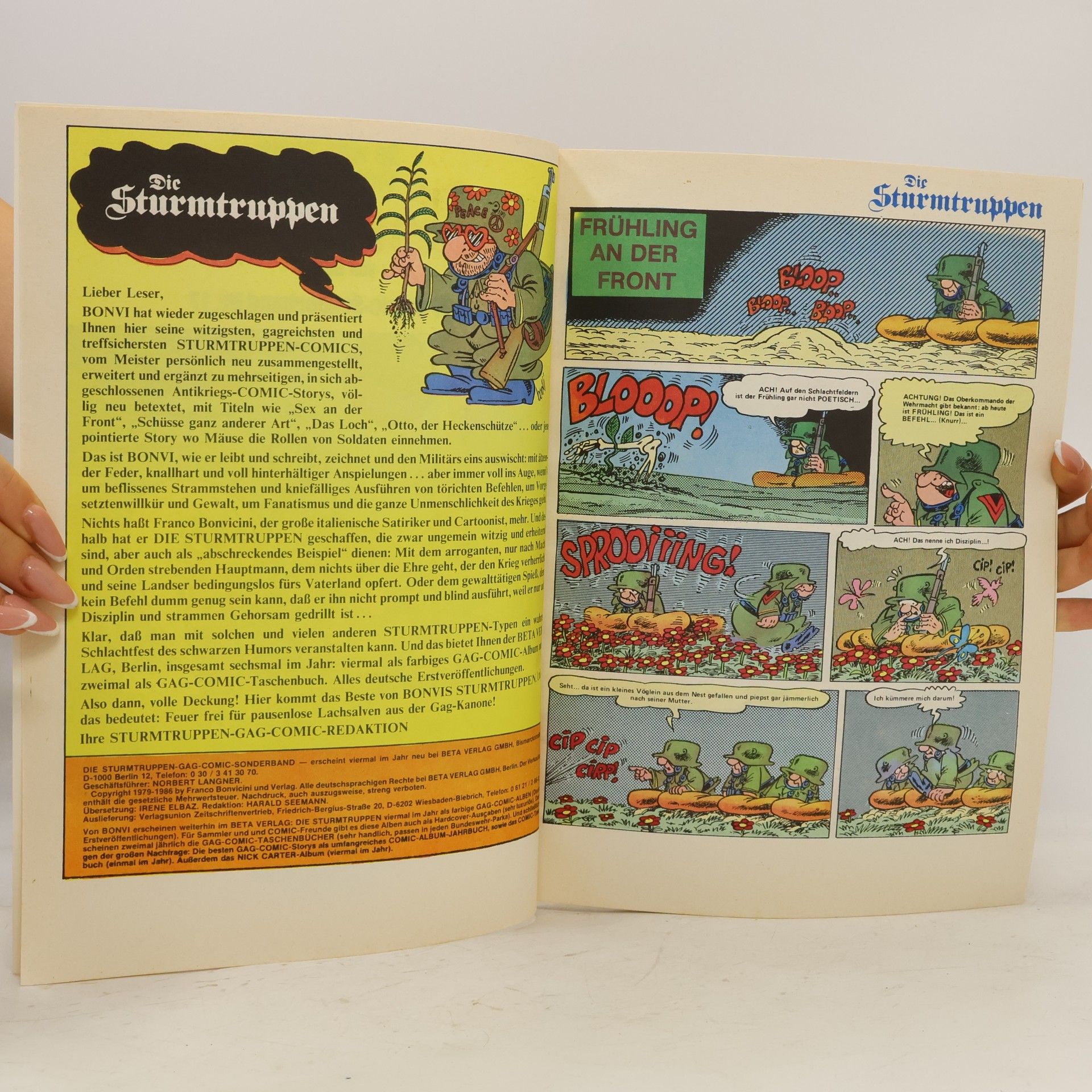 Various authors Die Sturmtruppen 17