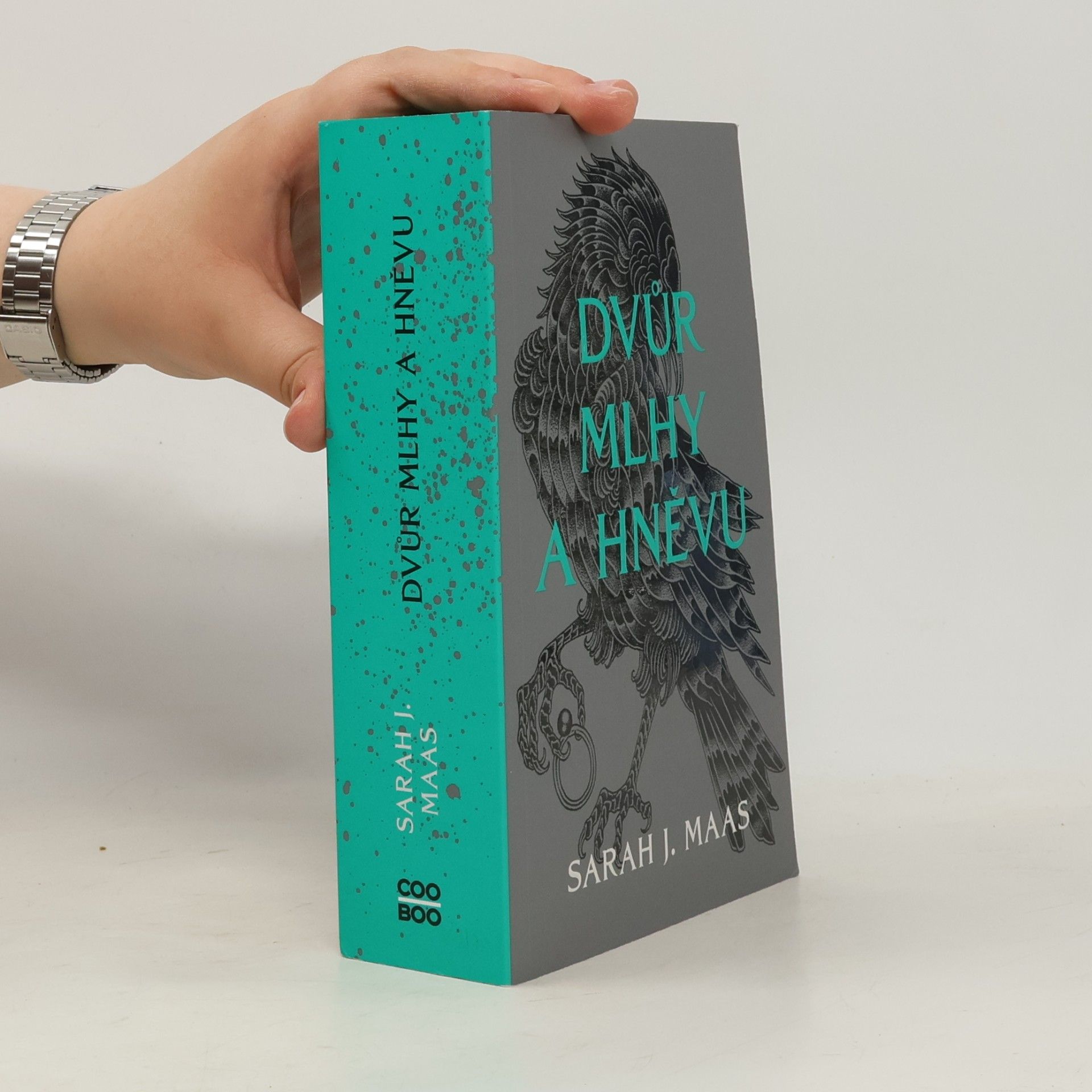 Sarah J. Maas Dvůr mlhy a hněvu