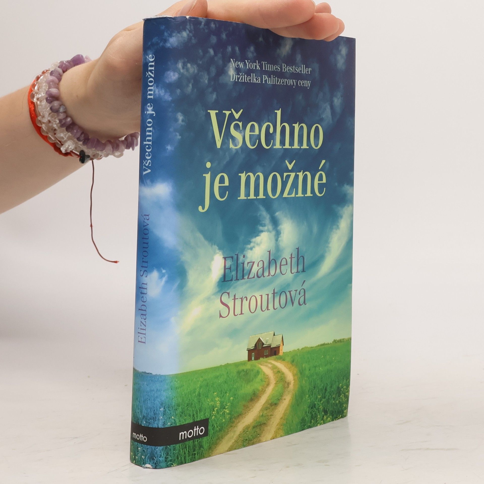 Elizabeth Strout Všechno je možné