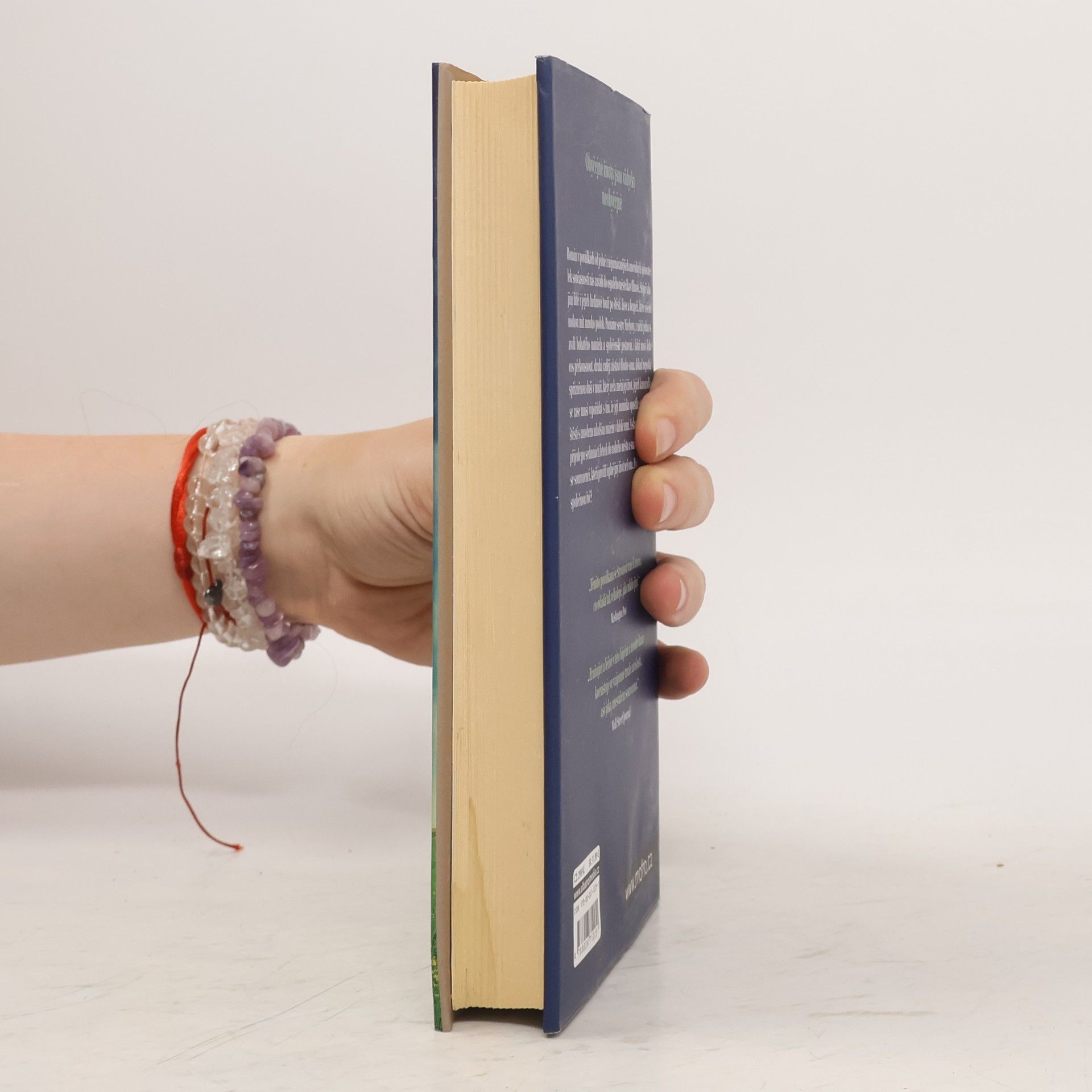 Elizabeth Strout Všechno je možné