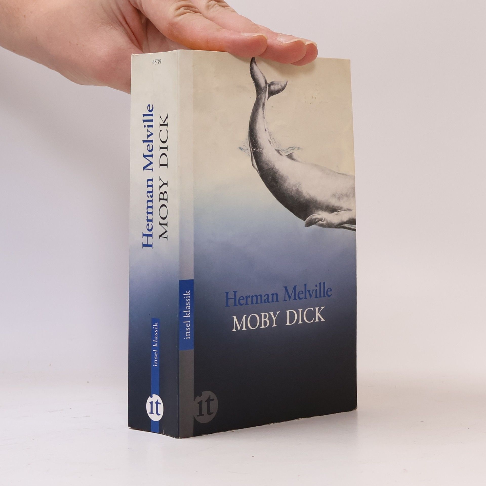 Herman Melville Moby Dick