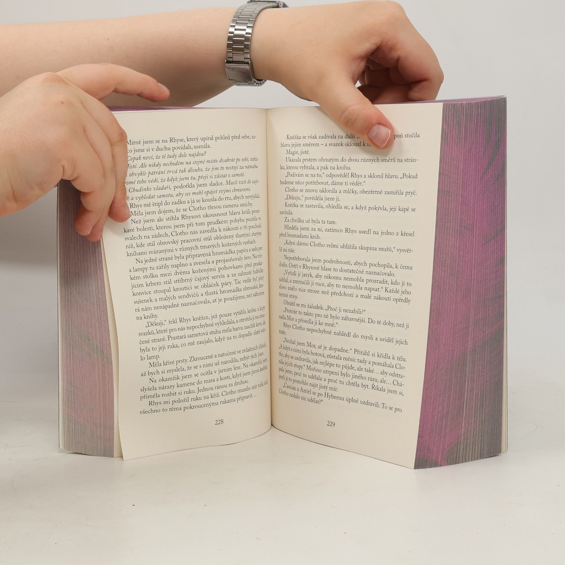 Sarah J. Maas Dvůr křídel a zmaru