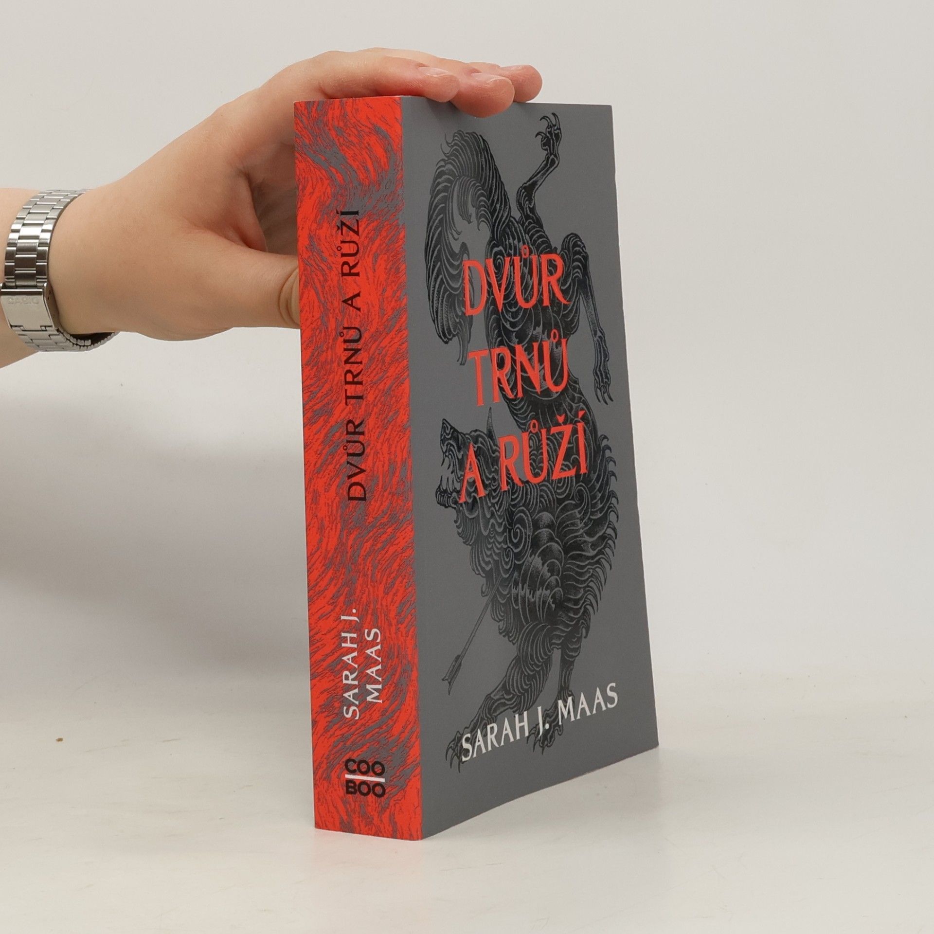 Sarah J. Maas Dvůr trnů a růží
