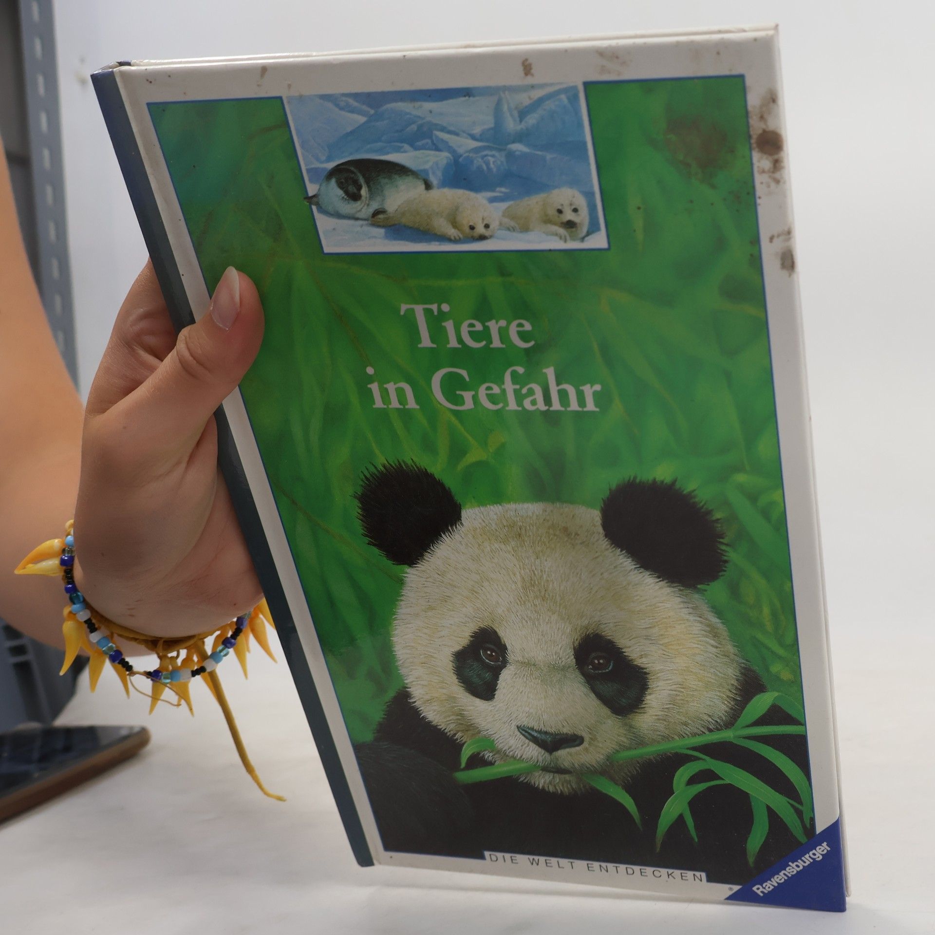 Diane Costa de Beauregard Tiere in Gefahr