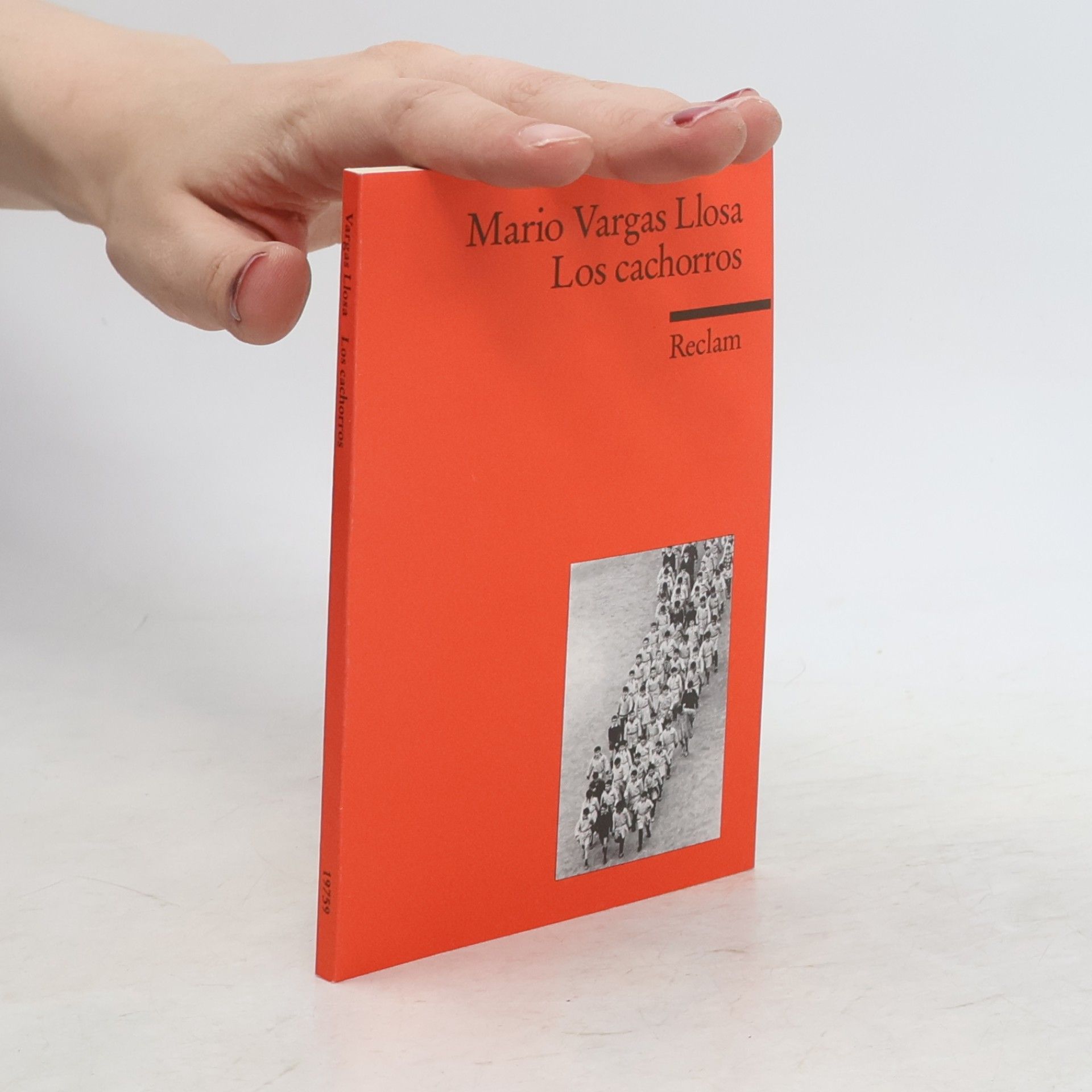Mario Vargas Llosa Reclams Universal-Bibliothek est la collection