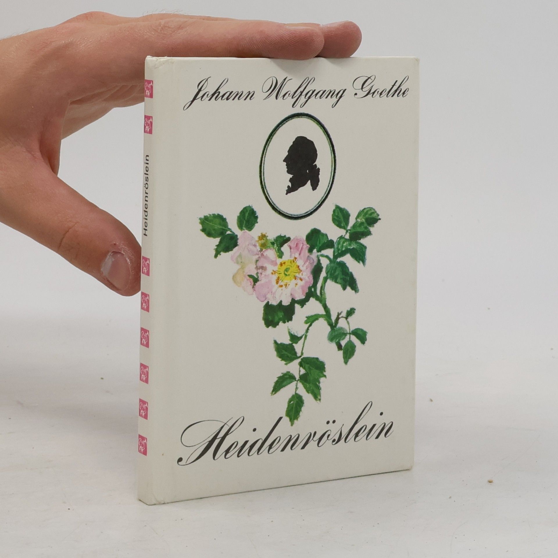 Johann Wolfgang von Goethe Heidenröslein und andere Gedichte