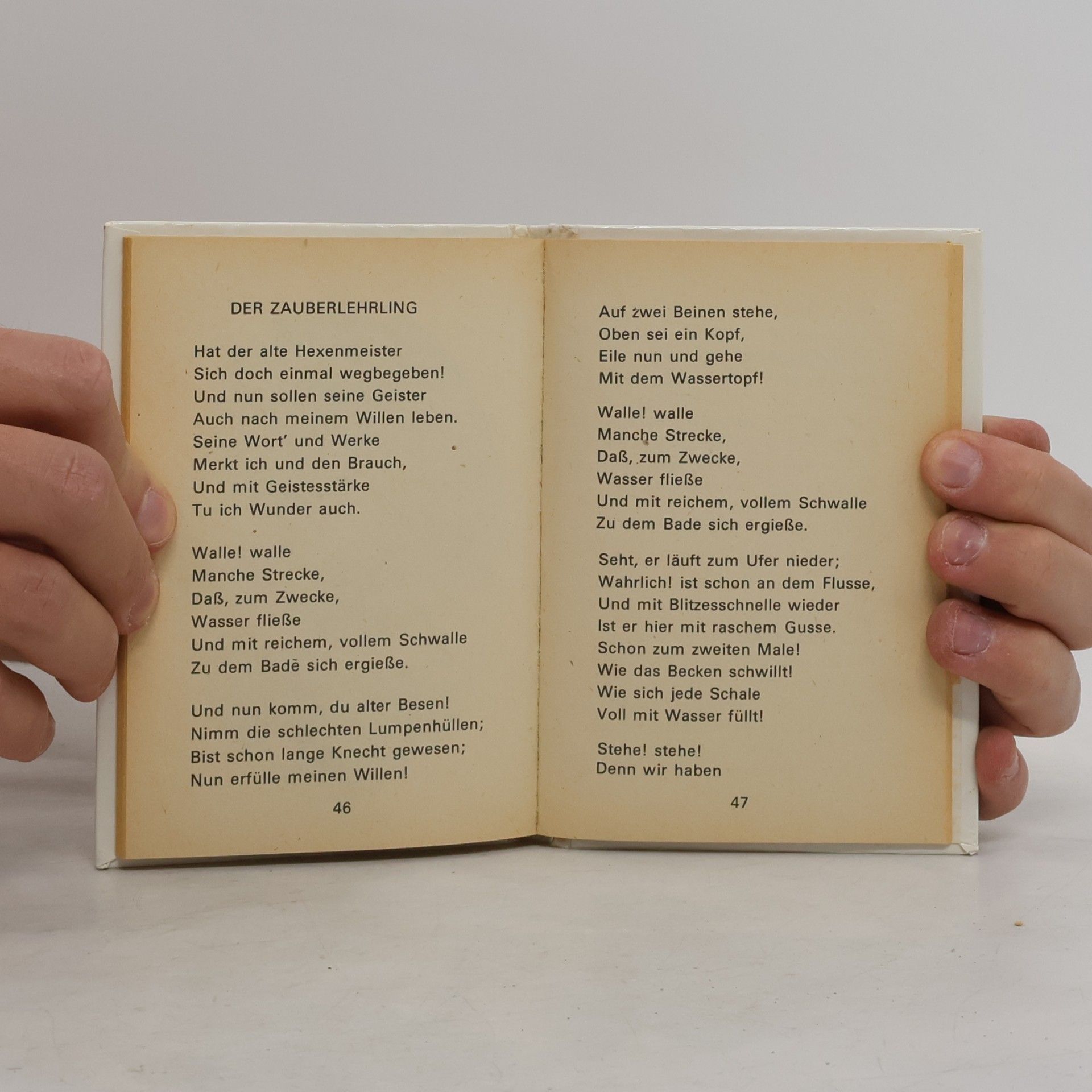 Johann Wolfgang von Goethe Heidenröslein und andere Gedichte