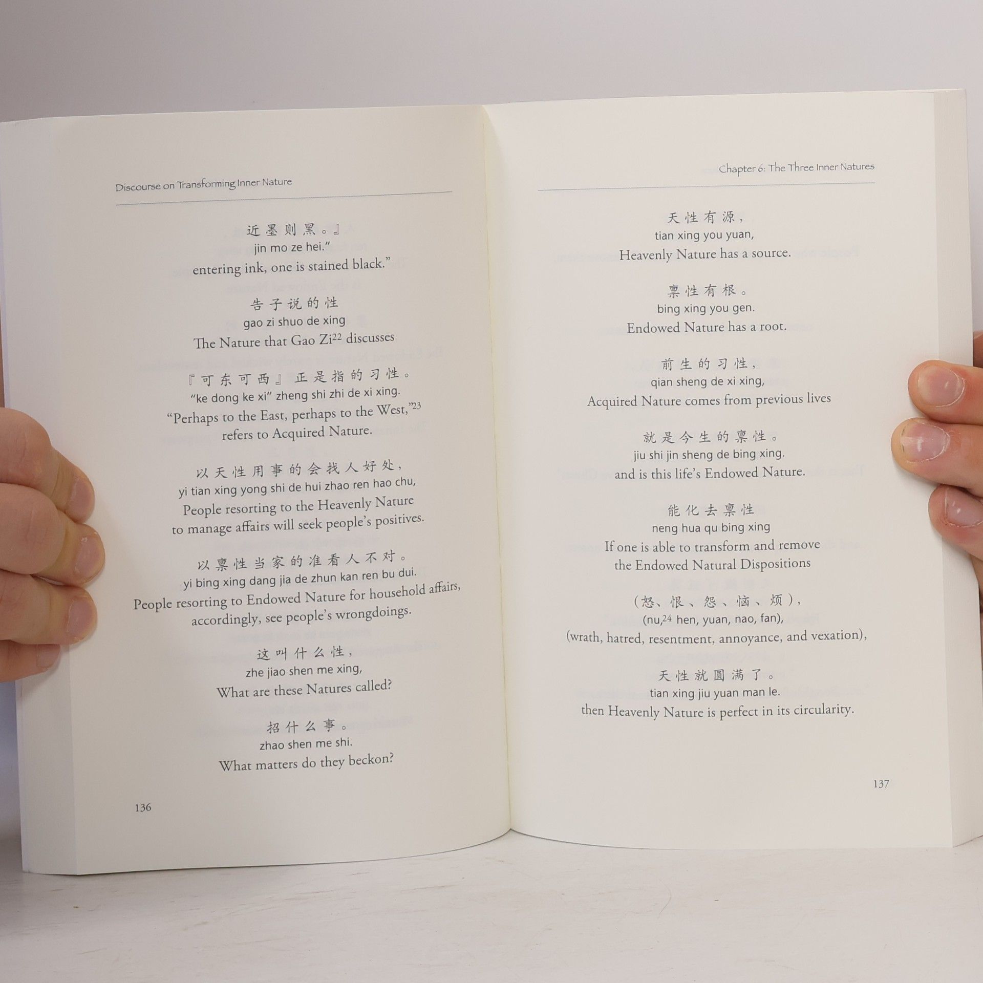 Wang Fengyi Discourse on Transforming Inner Nature