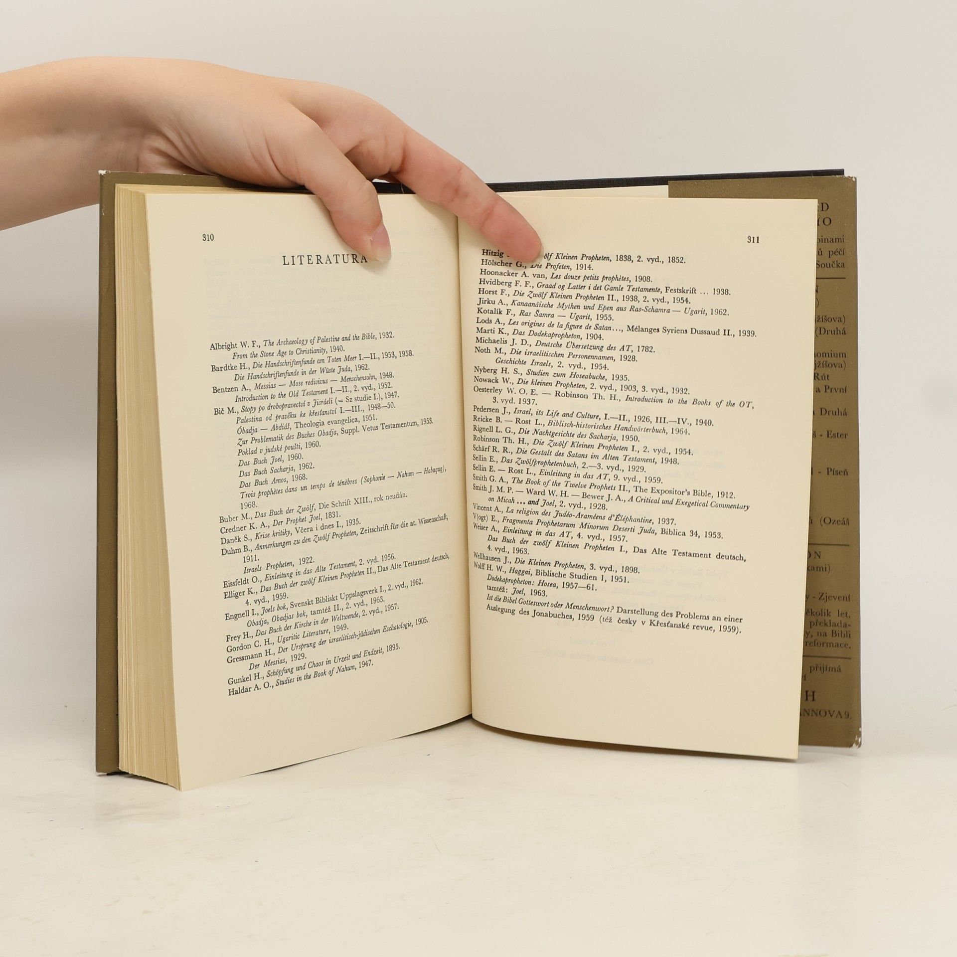 Various authors Starý zákon: Překlad s výkladem 14. Dvanáct proroků