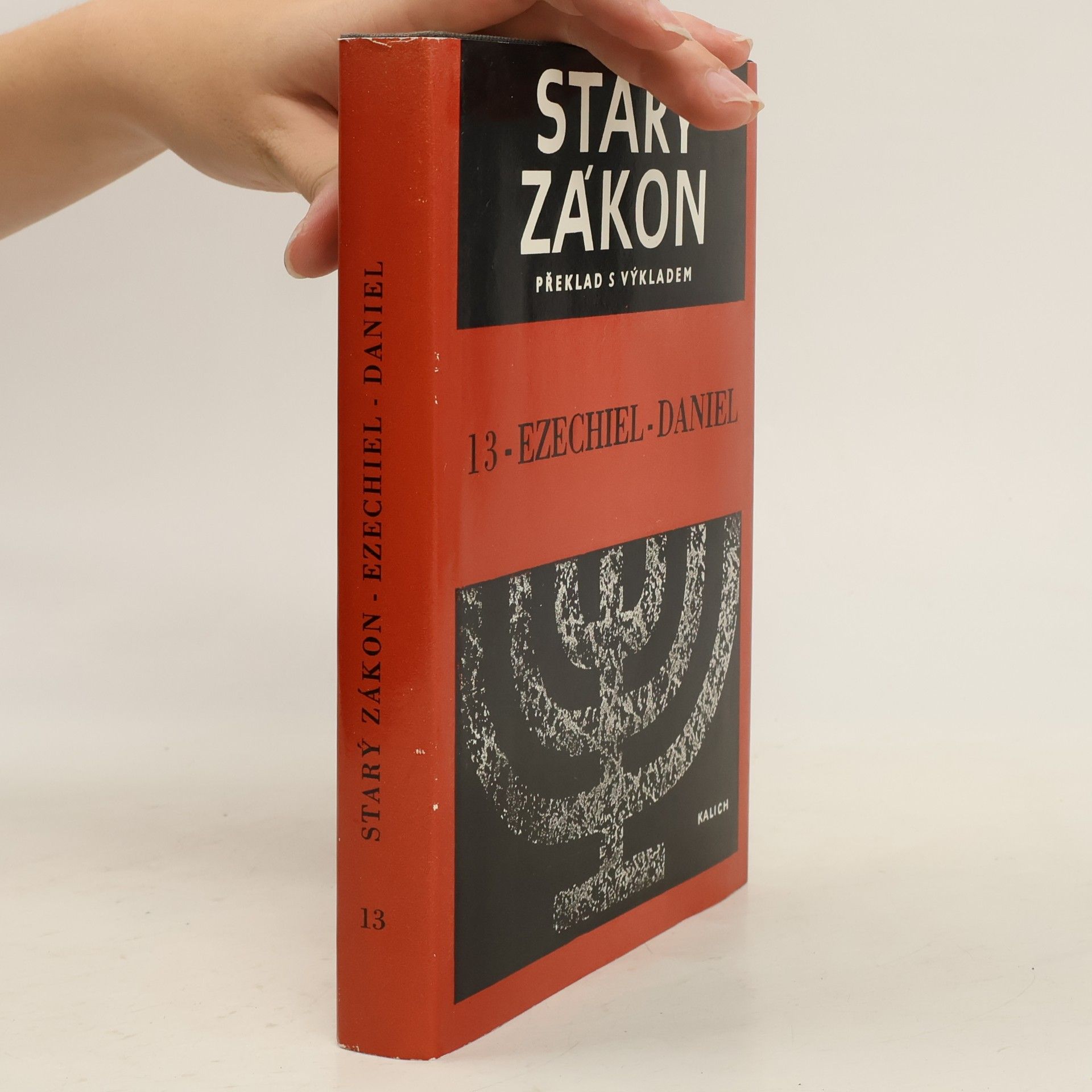 Collectif d'auteurs Starý zákon. Překlad s výkladem 13. Ezechiel-Daniel