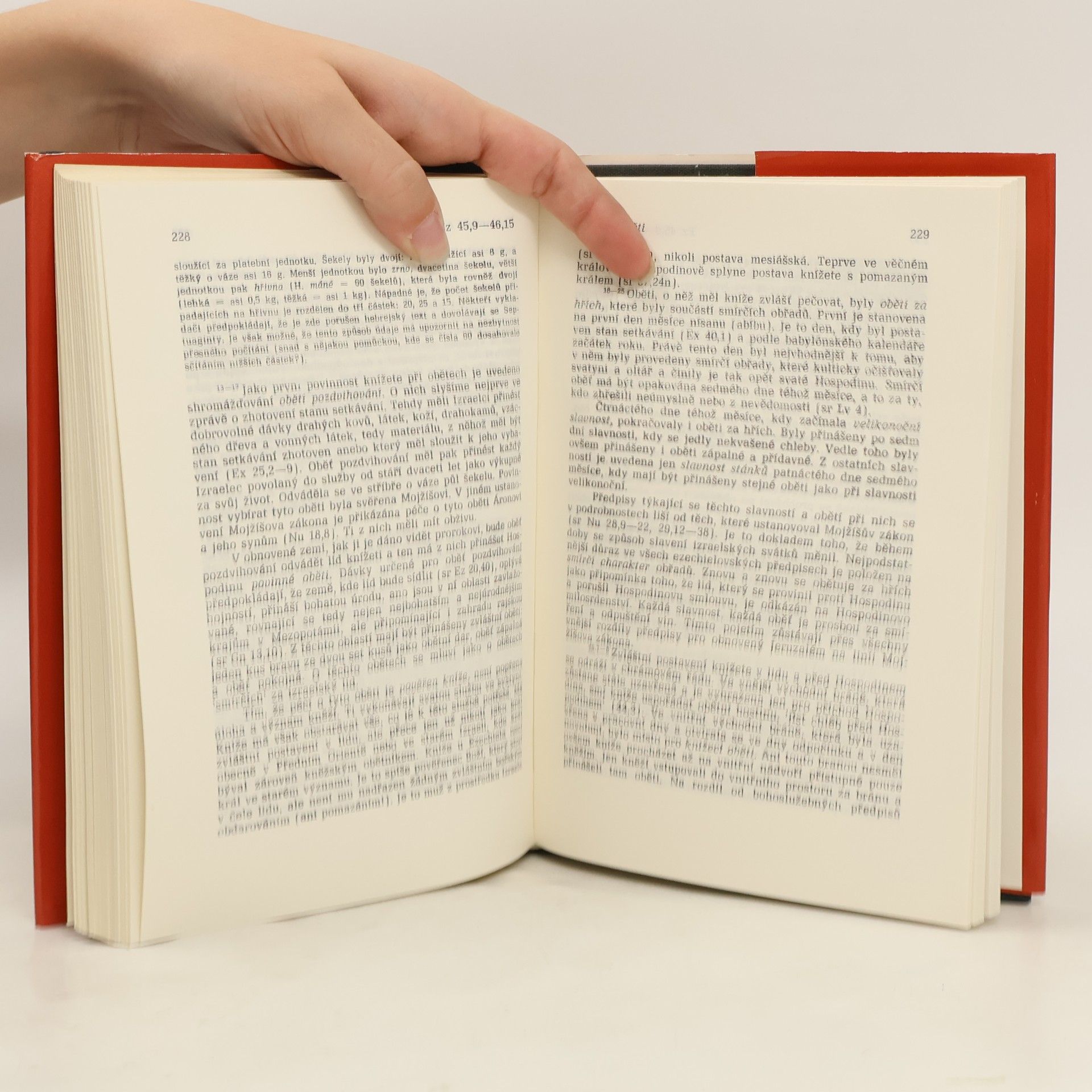 Autores varios Starý zákon. Překlad s výkladem 13. Ezechiel-Daniel