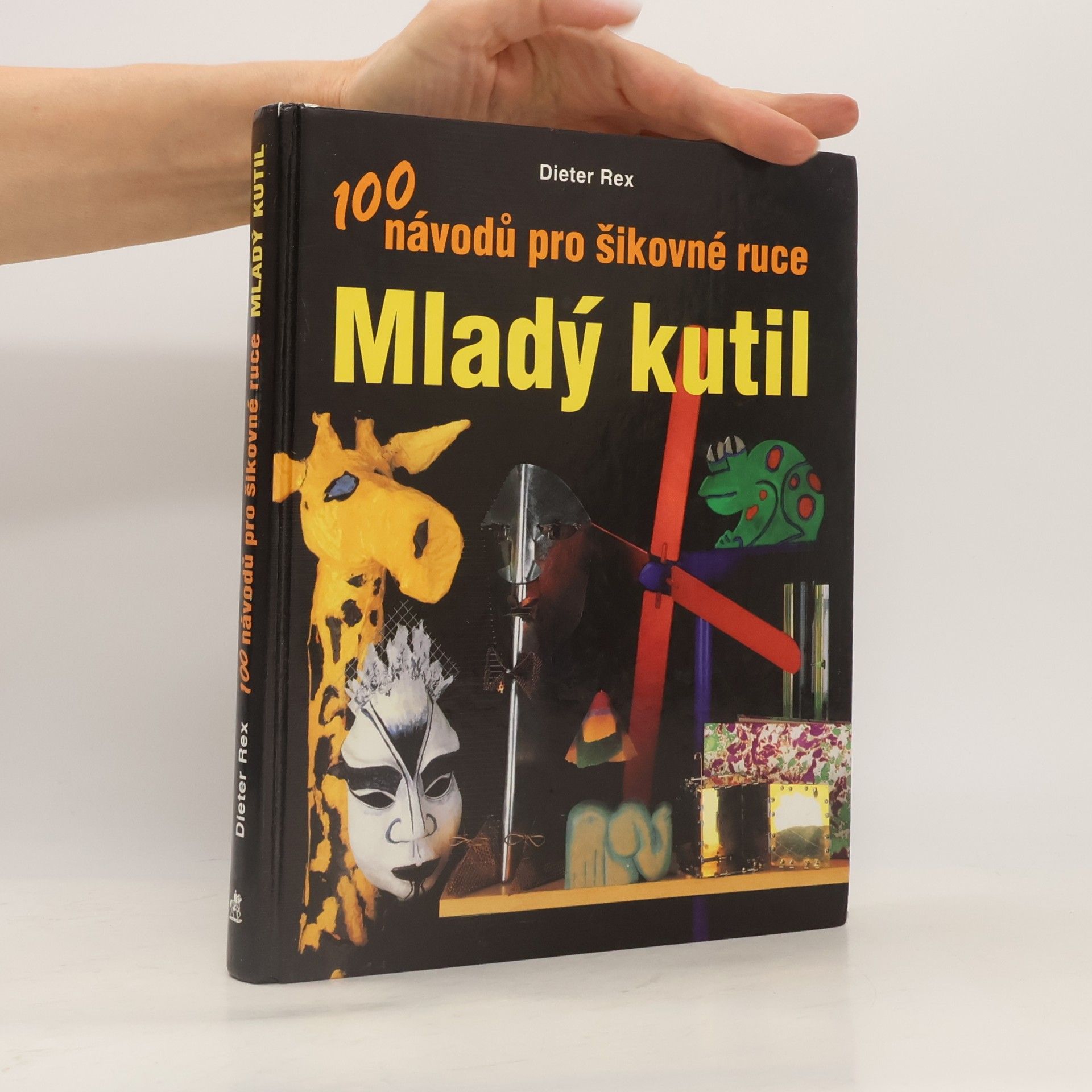 Mladý kutil. 100 návodů pro šikovné ruce