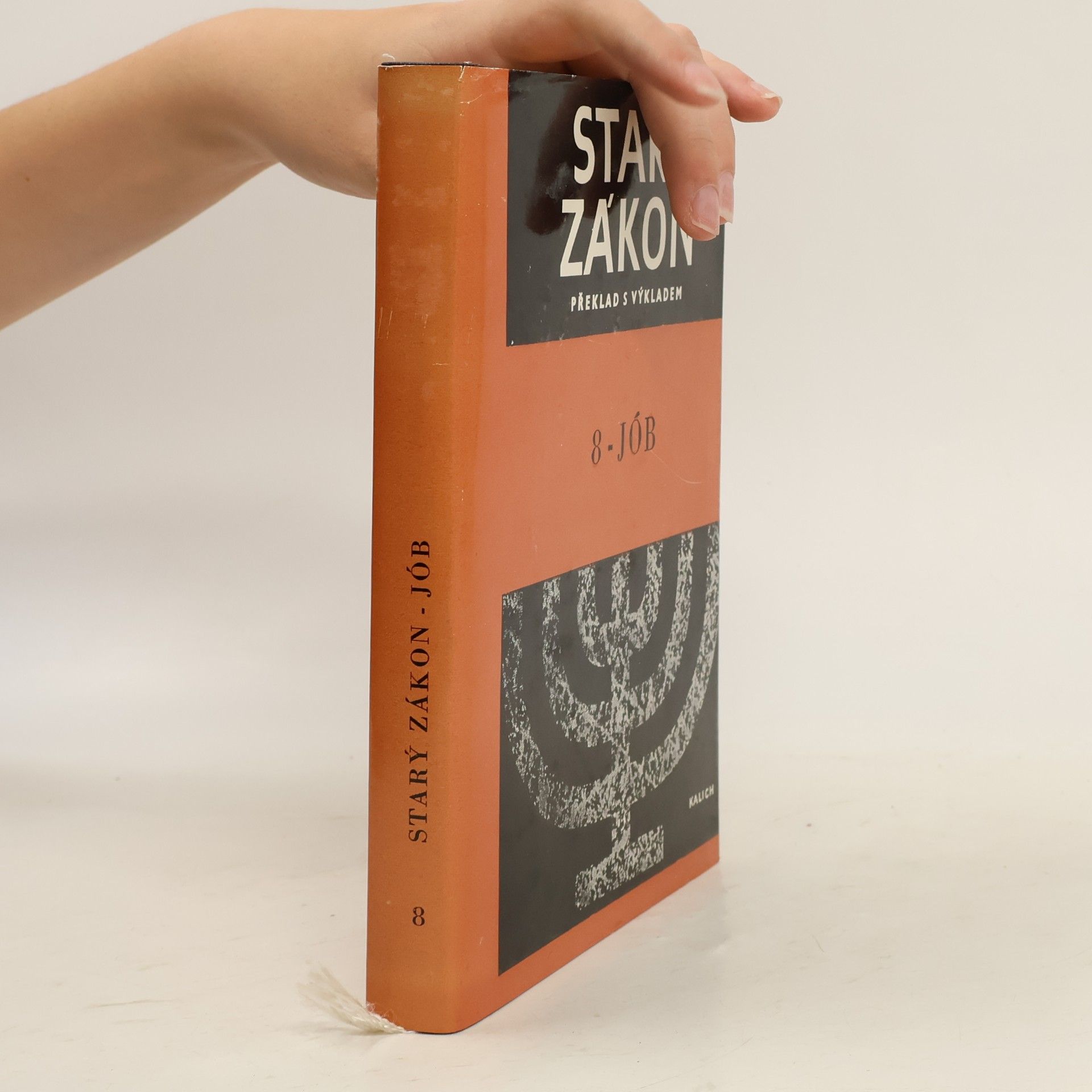 Collectif d'auteurs Starý zákon. 8-Jób
