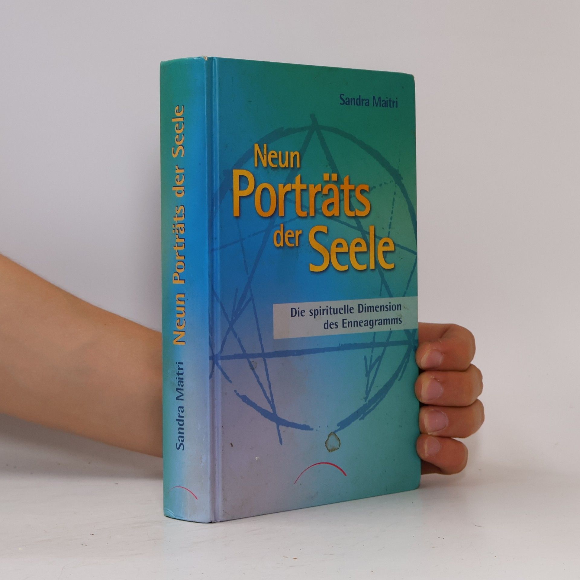 Sandra Maitri Neun Porträts der Seele
